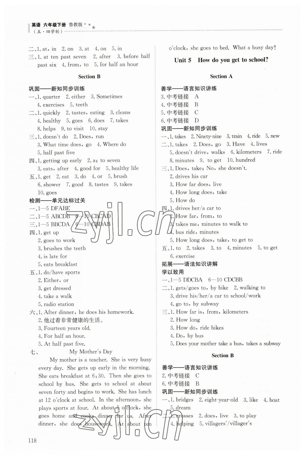 2023年同步練習冊明天出版社六年級英語下冊魯教版54制 參考答案第4頁