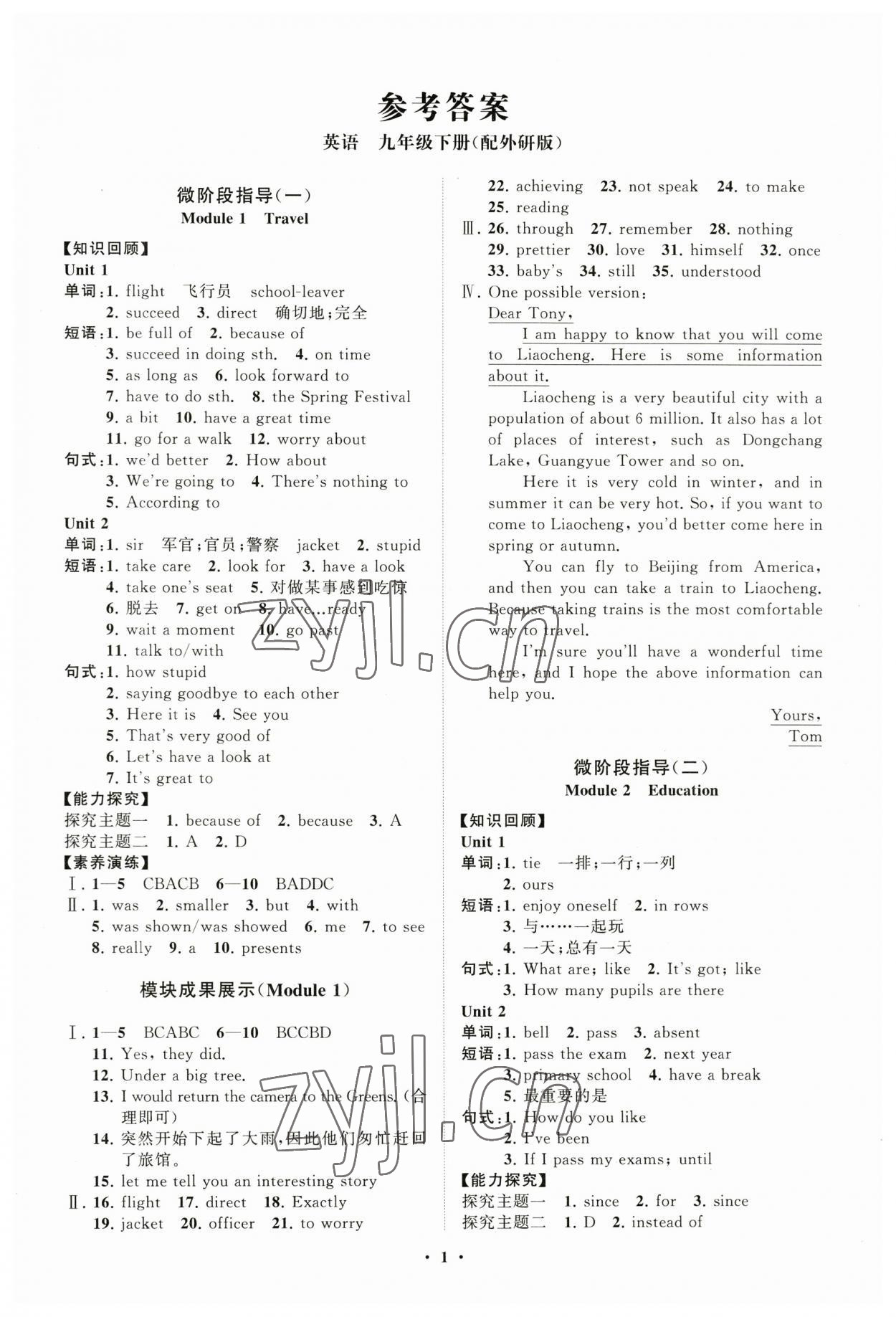 2023年同步練習(xí)冊分層卷九年級英語下冊外研版 第1頁