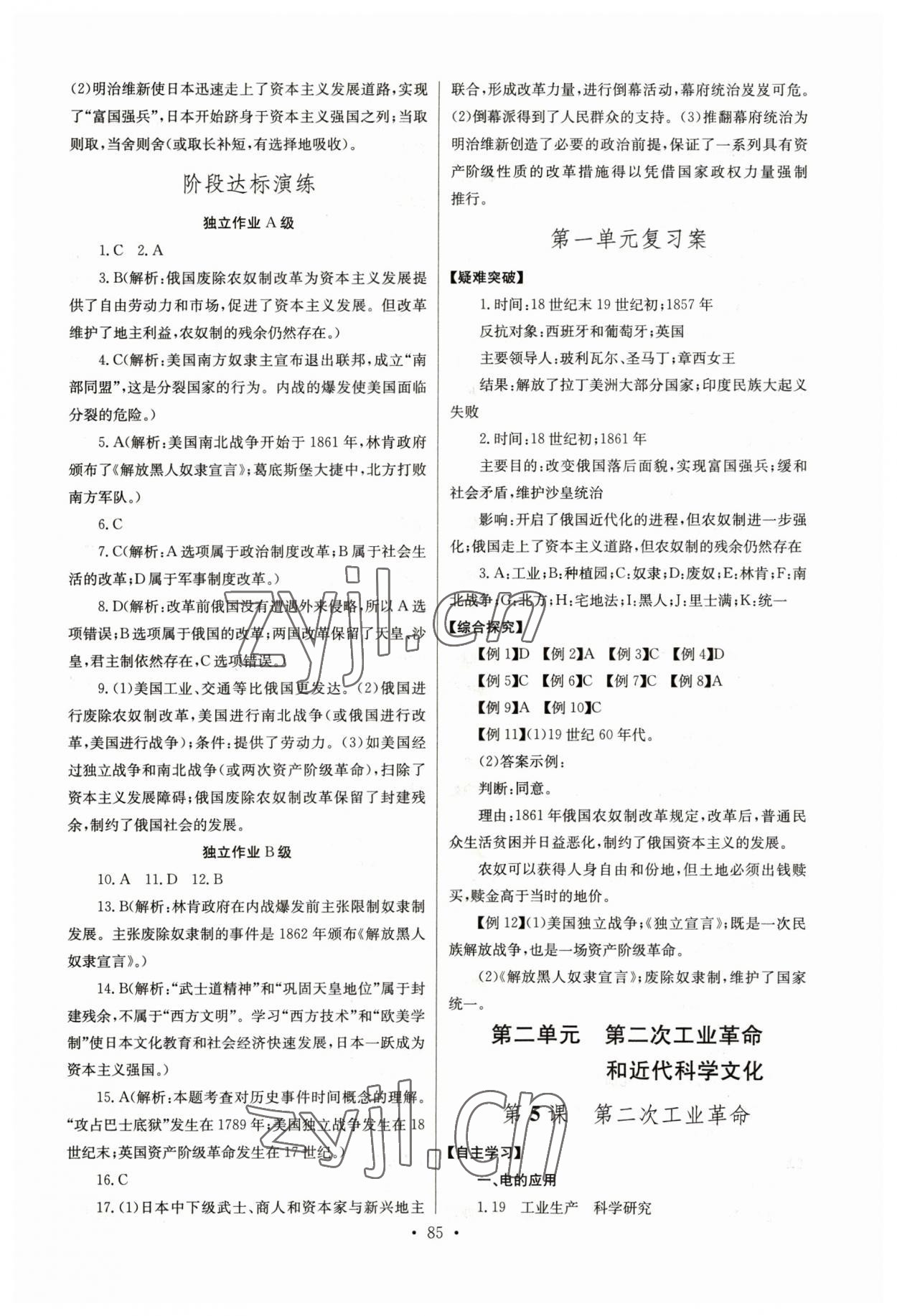 2023年長江全能學(xué)案同步練習(xí)冊九年級歷史下冊人教版 第3頁