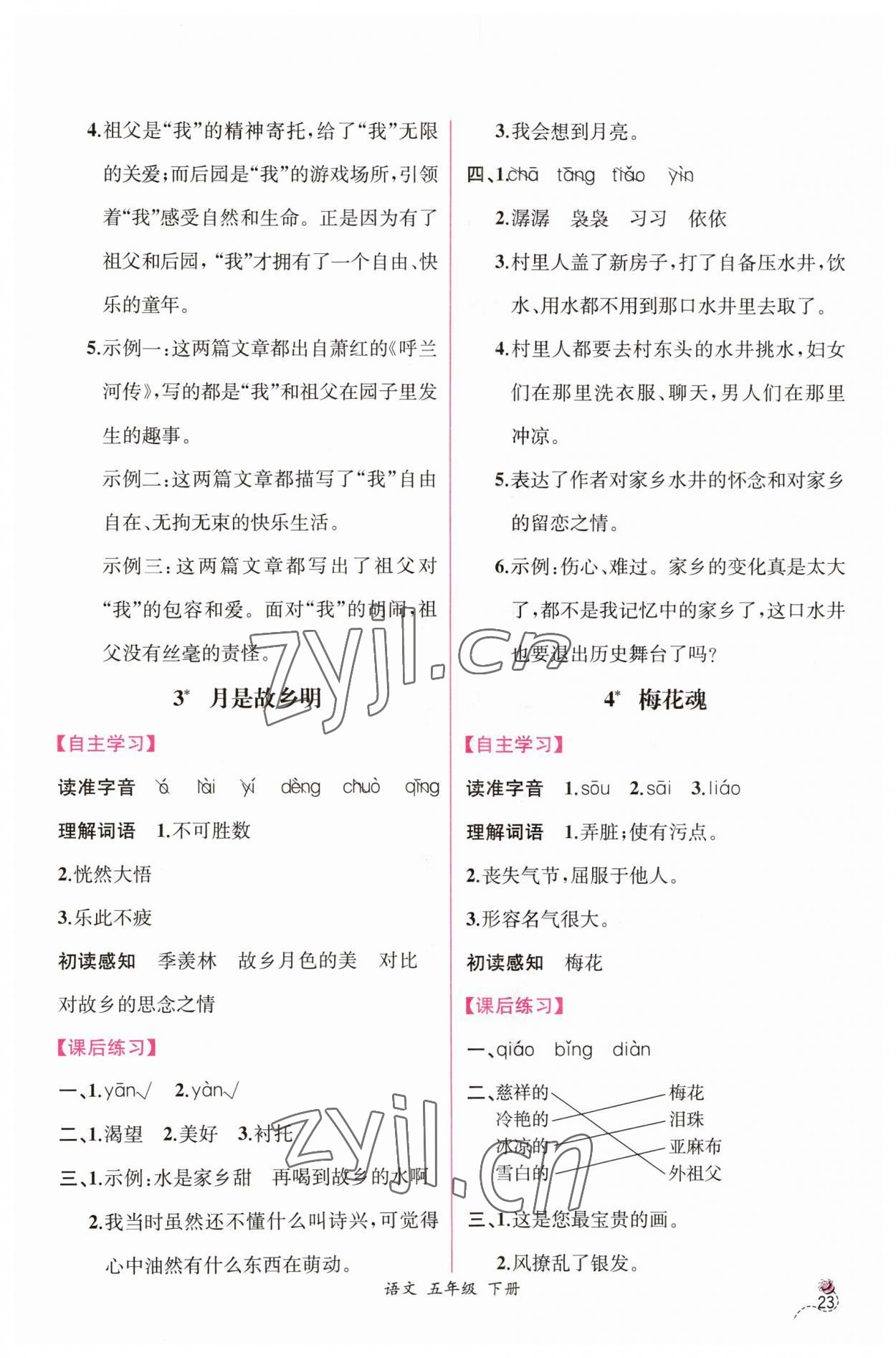 2023年同步导学案课时练五年级语文下册人教版 第3页