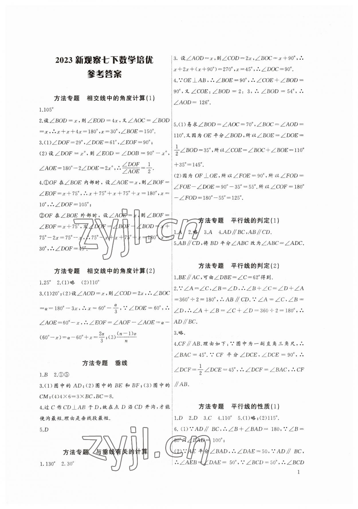 2023年新课堂新观察培优讲练七年级数学下册人教版 参考答案第1页