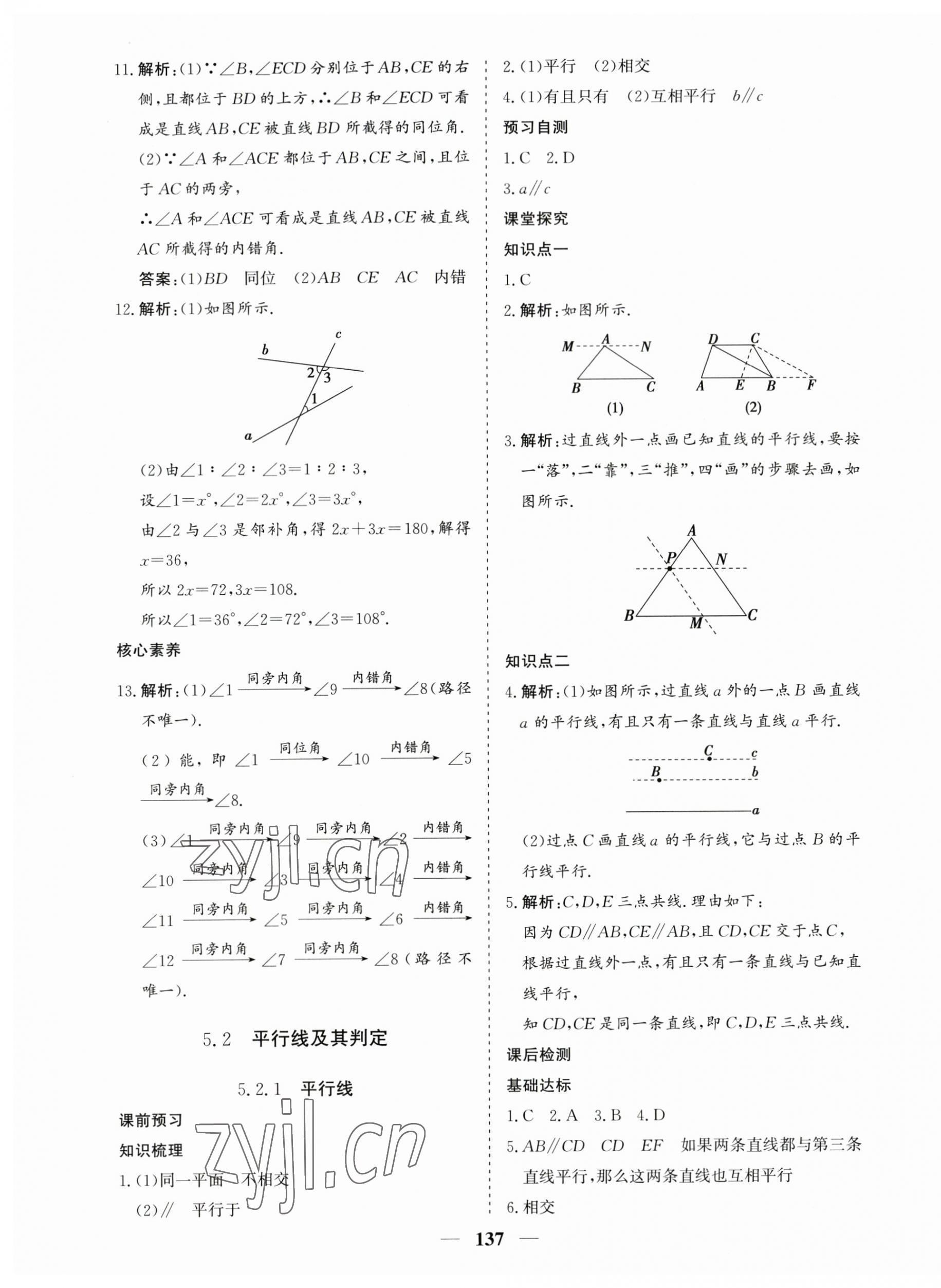 2023年優化探究七年級數學下冊人教版 第5頁