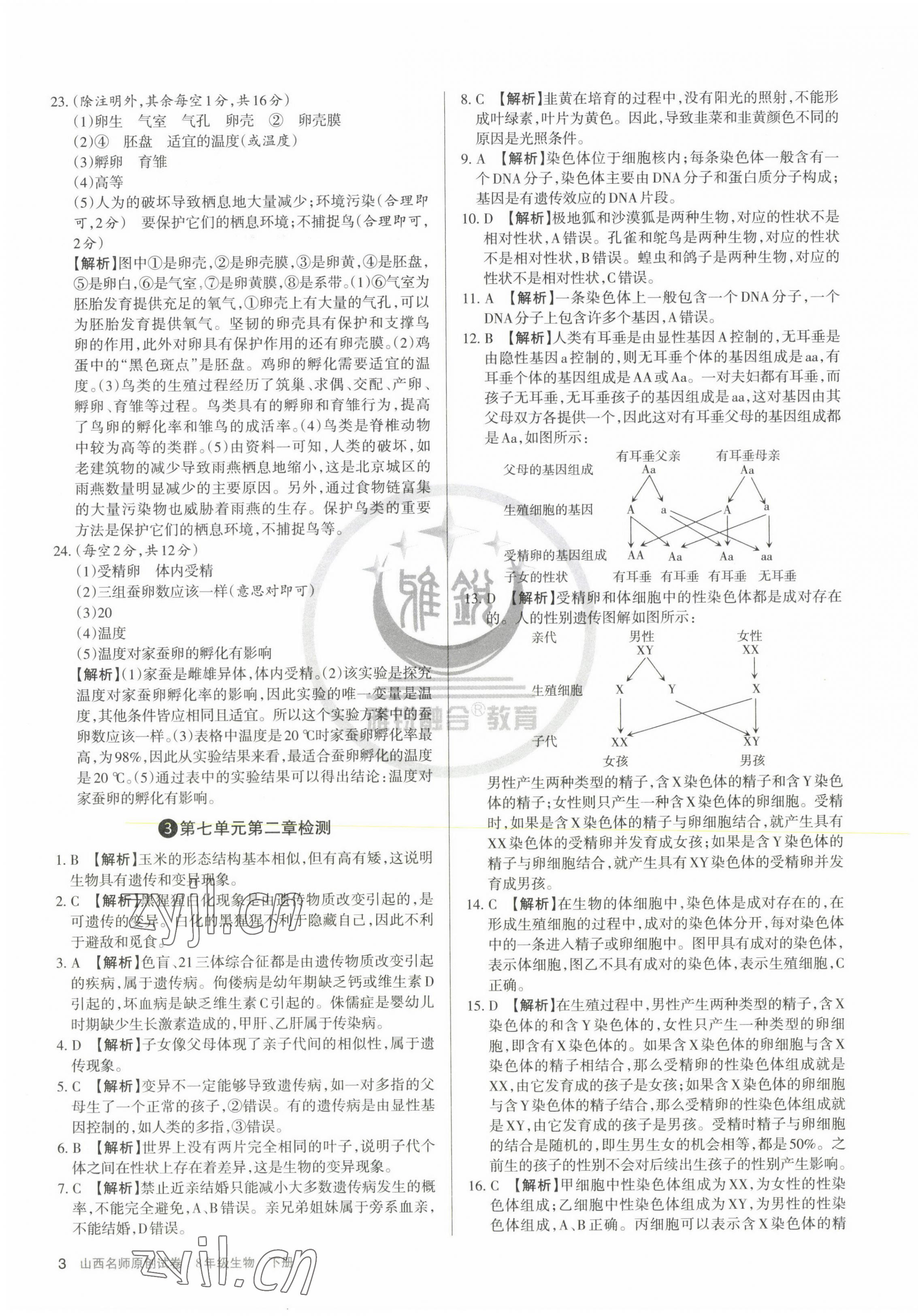 2023年山西名師原創(chuàng)試卷八年級生物下冊人教版 第3頁