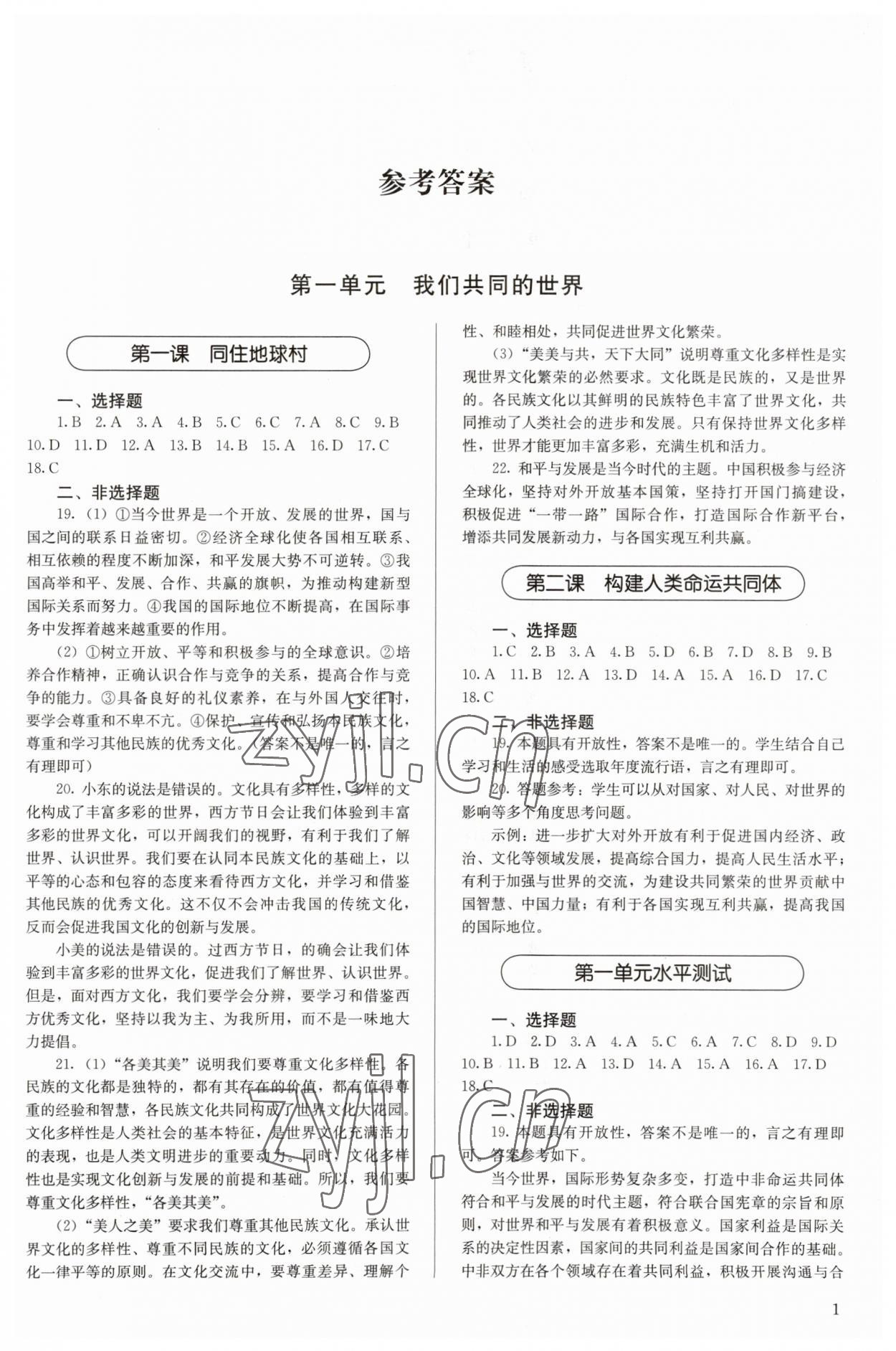 2023年補充習(xí)題九年級道德與法治下冊人教版人民教育出版社 第1頁