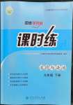 2023年同步導(dǎo)學(xué)案課時(shí)練九年級道德與法治下冊人教版