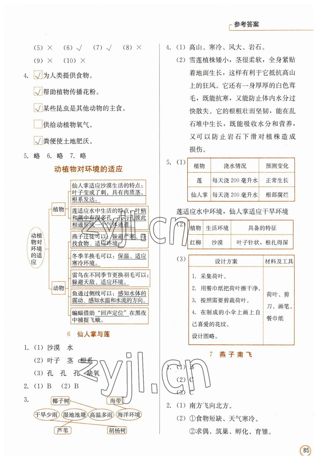 2023年學生同步訓練手冊三年級科學下冊冀教版 參考答案第3頁