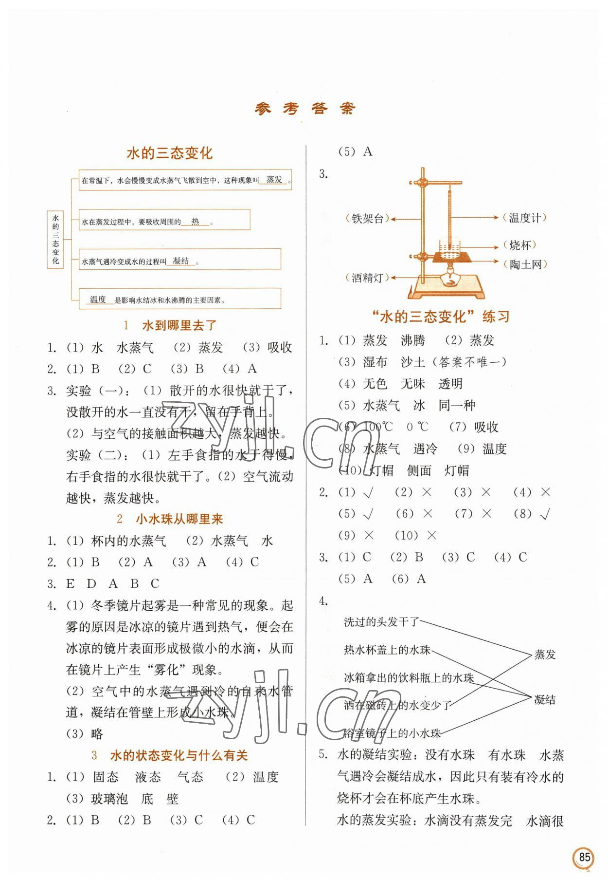 2023年學生同步訓練手冊五年級科學下冊冀人版 第1頁