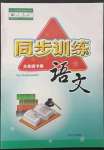 2023年同步训练河北人民出版社六年级语文下册人教版