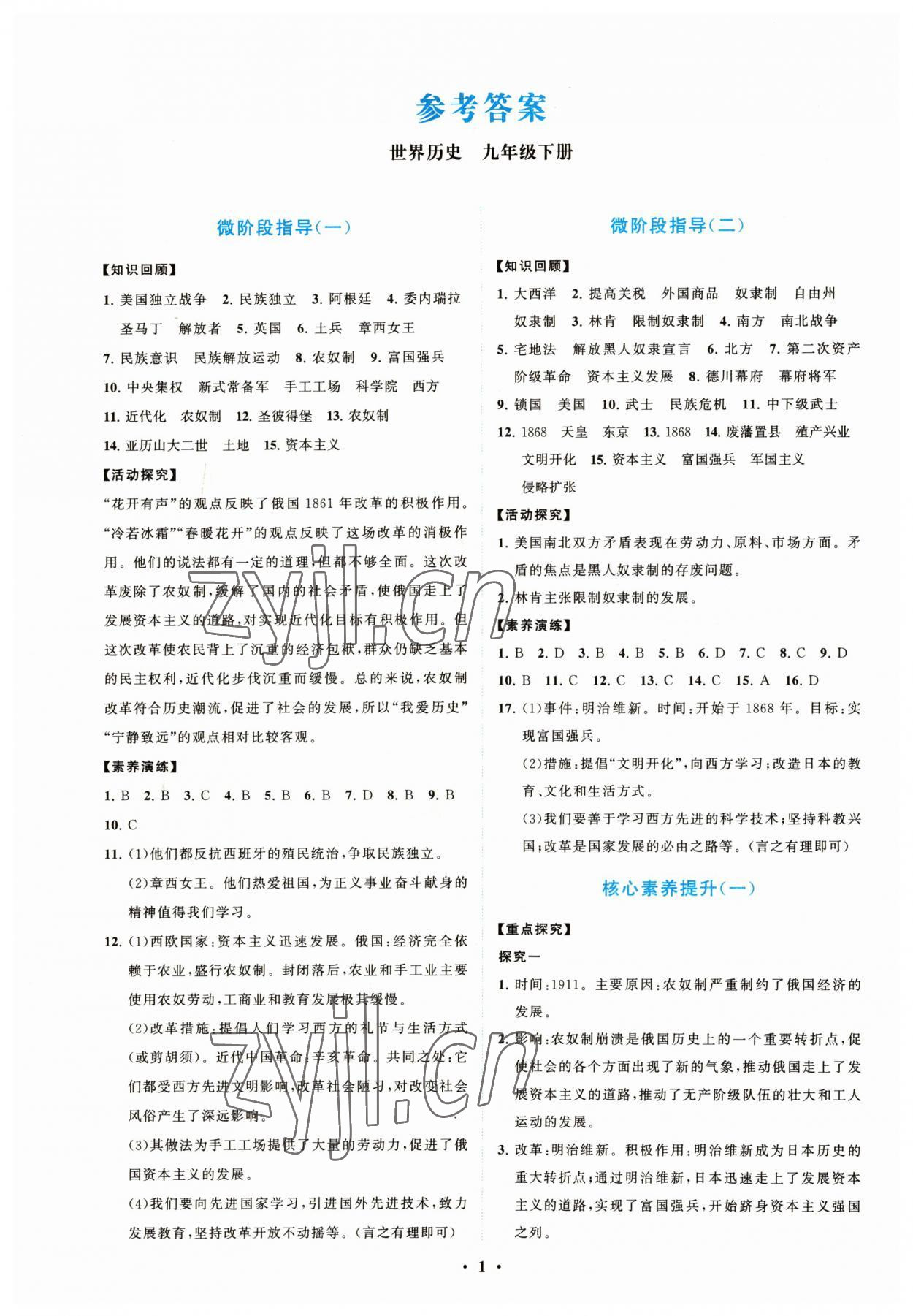 2023年同步練習(xí)冊分層卷九年級歷史下冊人教版陜西專版 第1頁