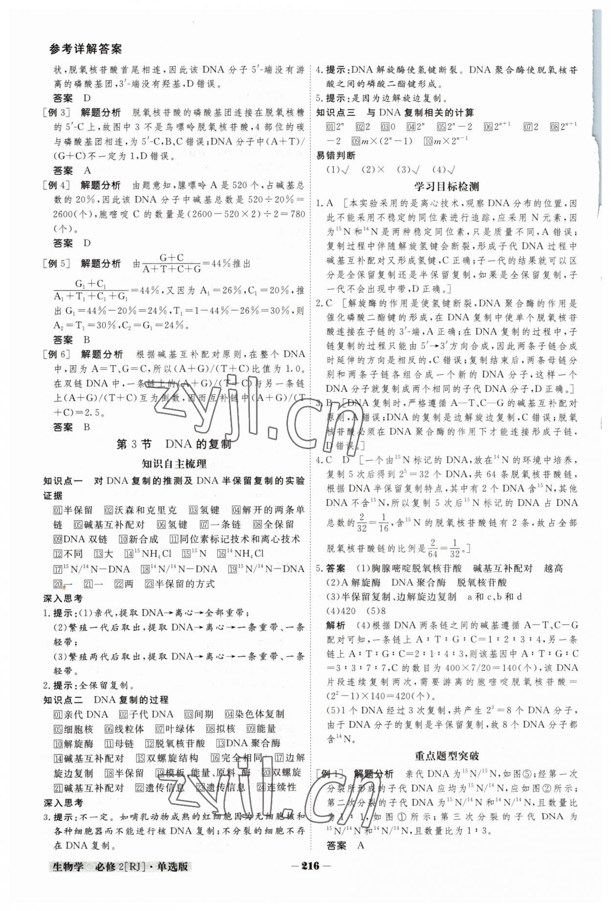 2023年金版教程高中新課程創(chuàng)新導(dǎo)學(xué)案高中生物必修2人教版 參考答案第13頁