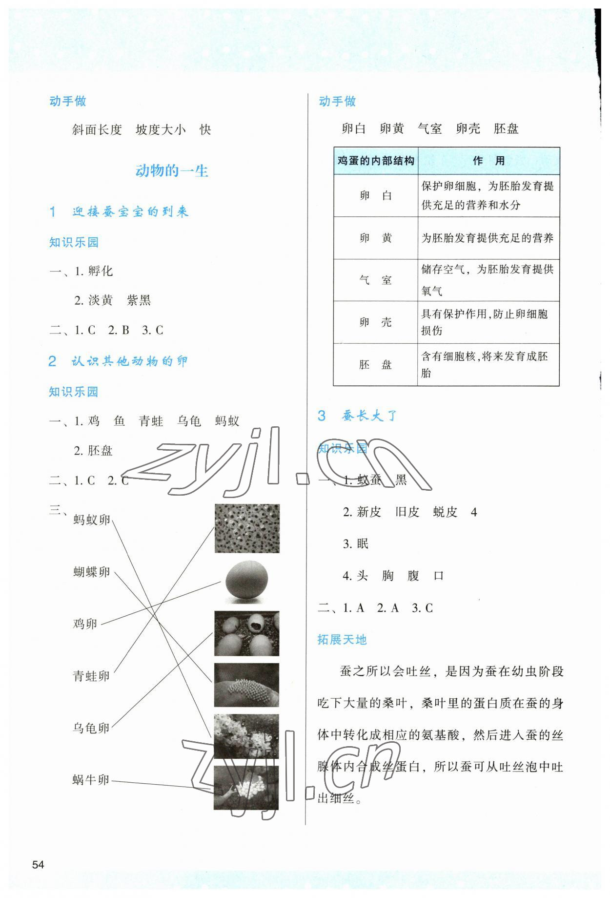 2023年新課程學(xué)習(xí)與評價三年級科學(xué)下冊教科版 參考答案第3頁