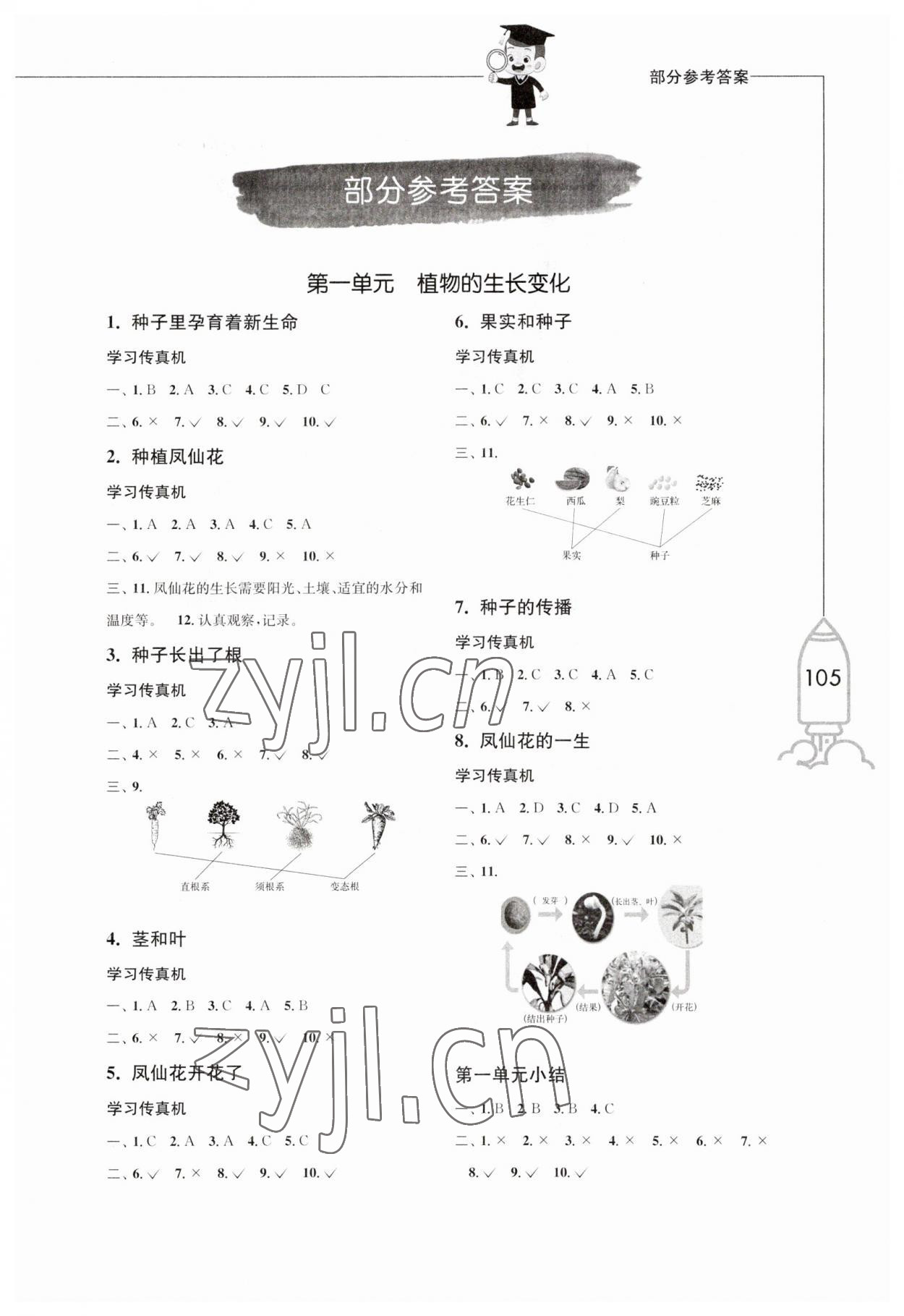 2023年小學(xué)科學(xué)習(xí)作四年級下冊教科版增強(qiáng)版 第1頁