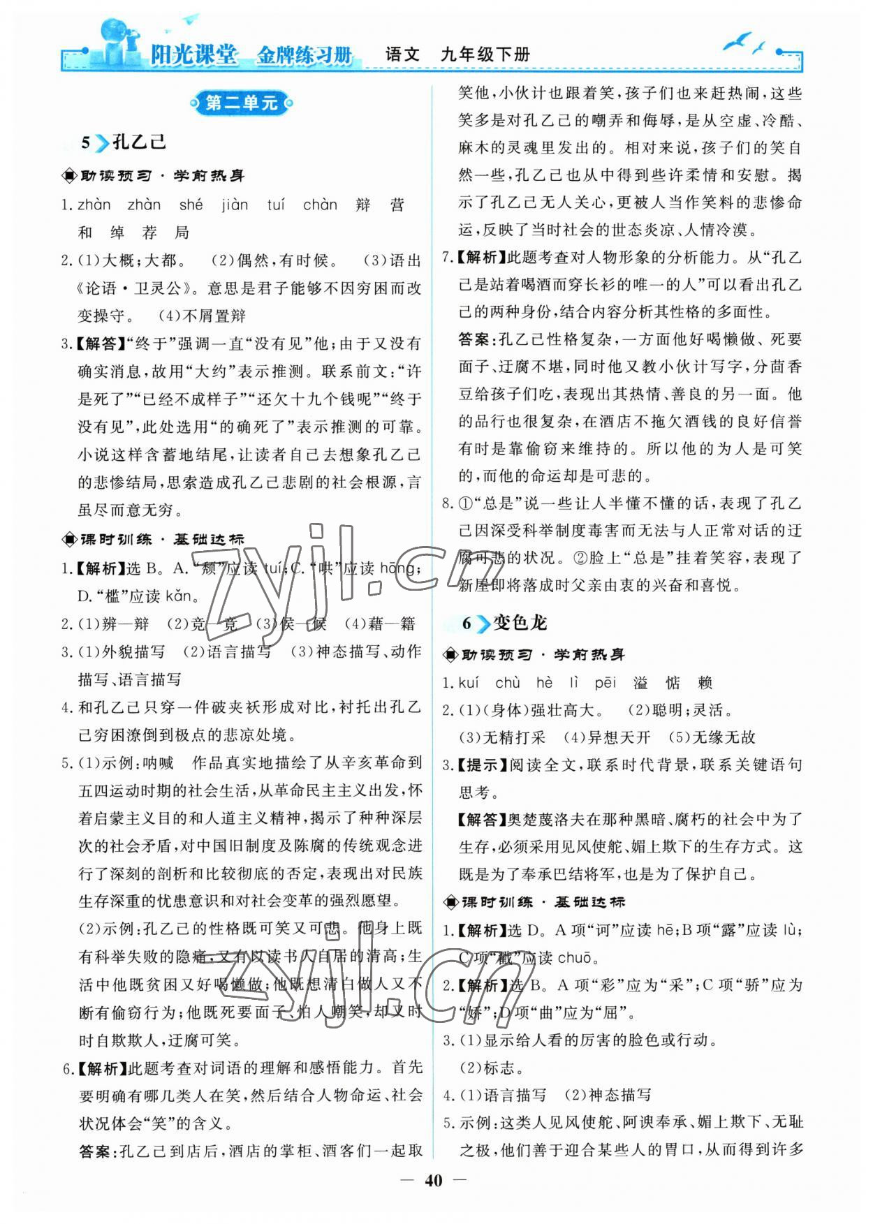 2023年阳光课堂金牌练习册九年级语文下册人教版 第4页