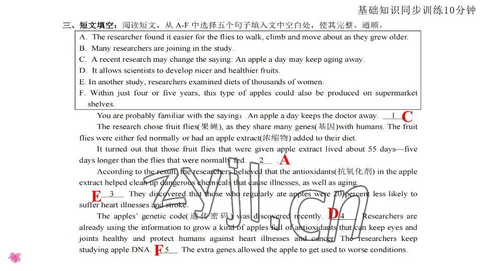 2023年基礎(chǔ)知識(shí)同步訓(xùn)練10分鐘八年級(jí)英語下冊(cè)滬教版深圳專版 參考答案第13頁