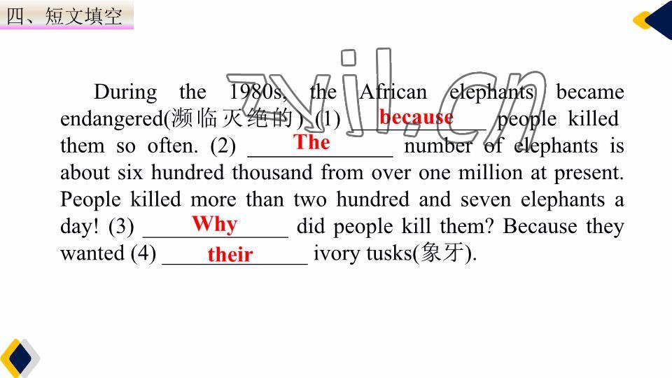 2023年基礎(chǔ)知識同步訓(xùn)練10分鐘七年級英語下冊滬教版深圳專版 參考答案第43頁