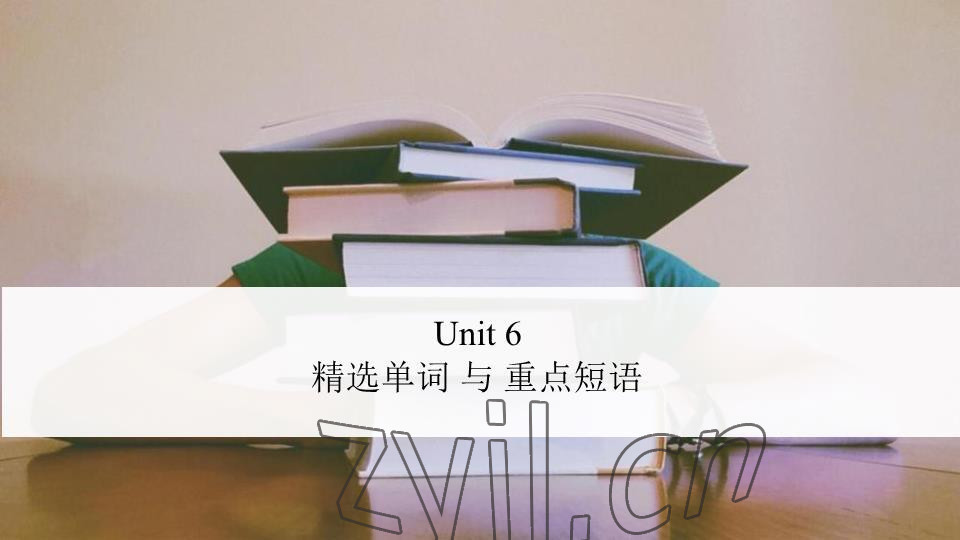 2023年基礎(chǔ)知識同步訓(xùn)練10分鐘七年級英語下冊滬教版深圳專版 參考答案第57頁