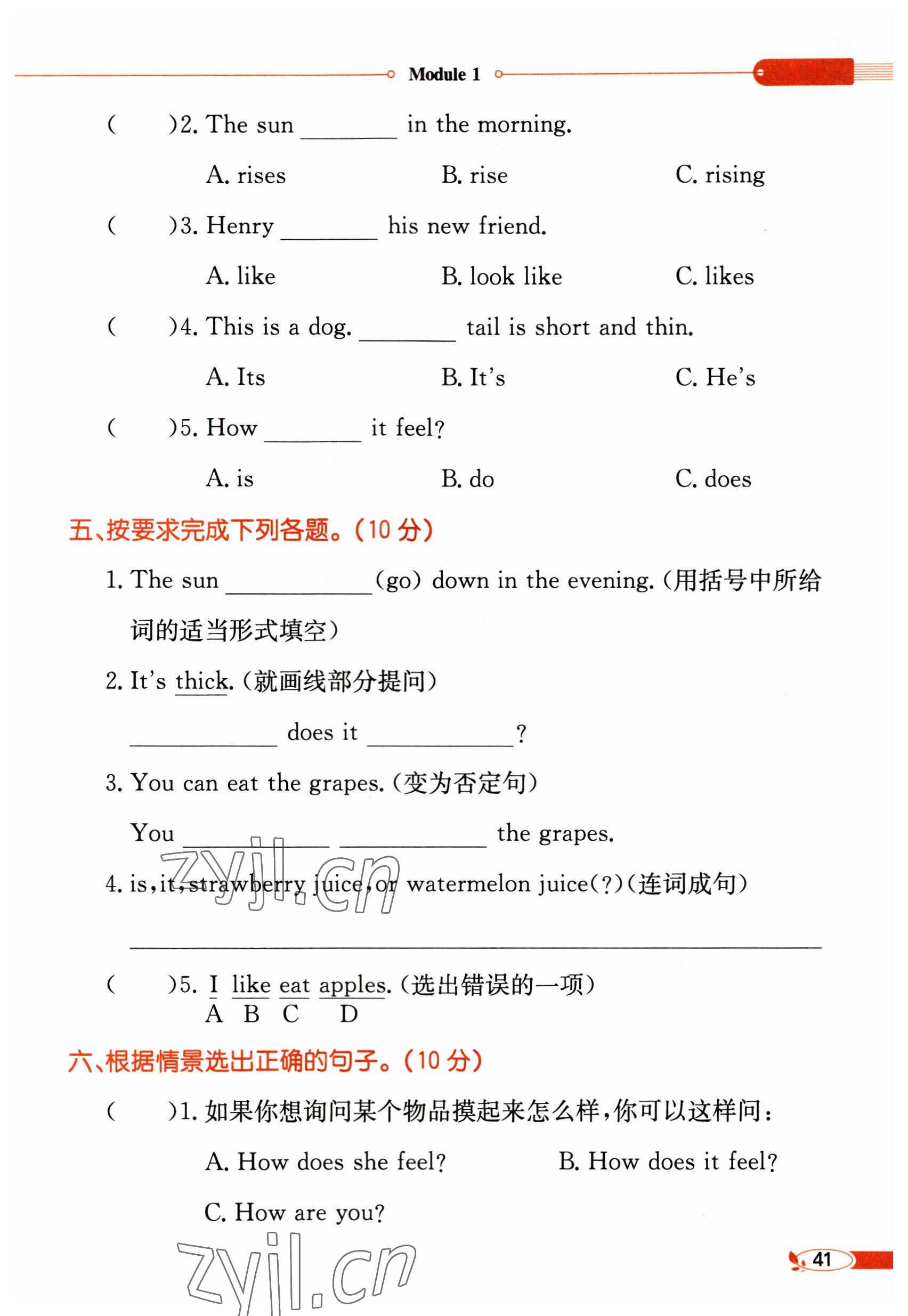 2023年教材課本四年級英語下冊滬教版 參考答案第41頁