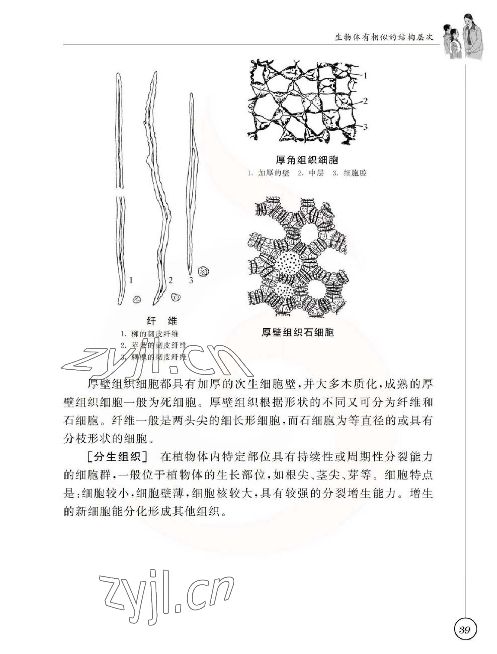 2023年教材課本七年級生物下冊蘇科版 參考答案第39頁