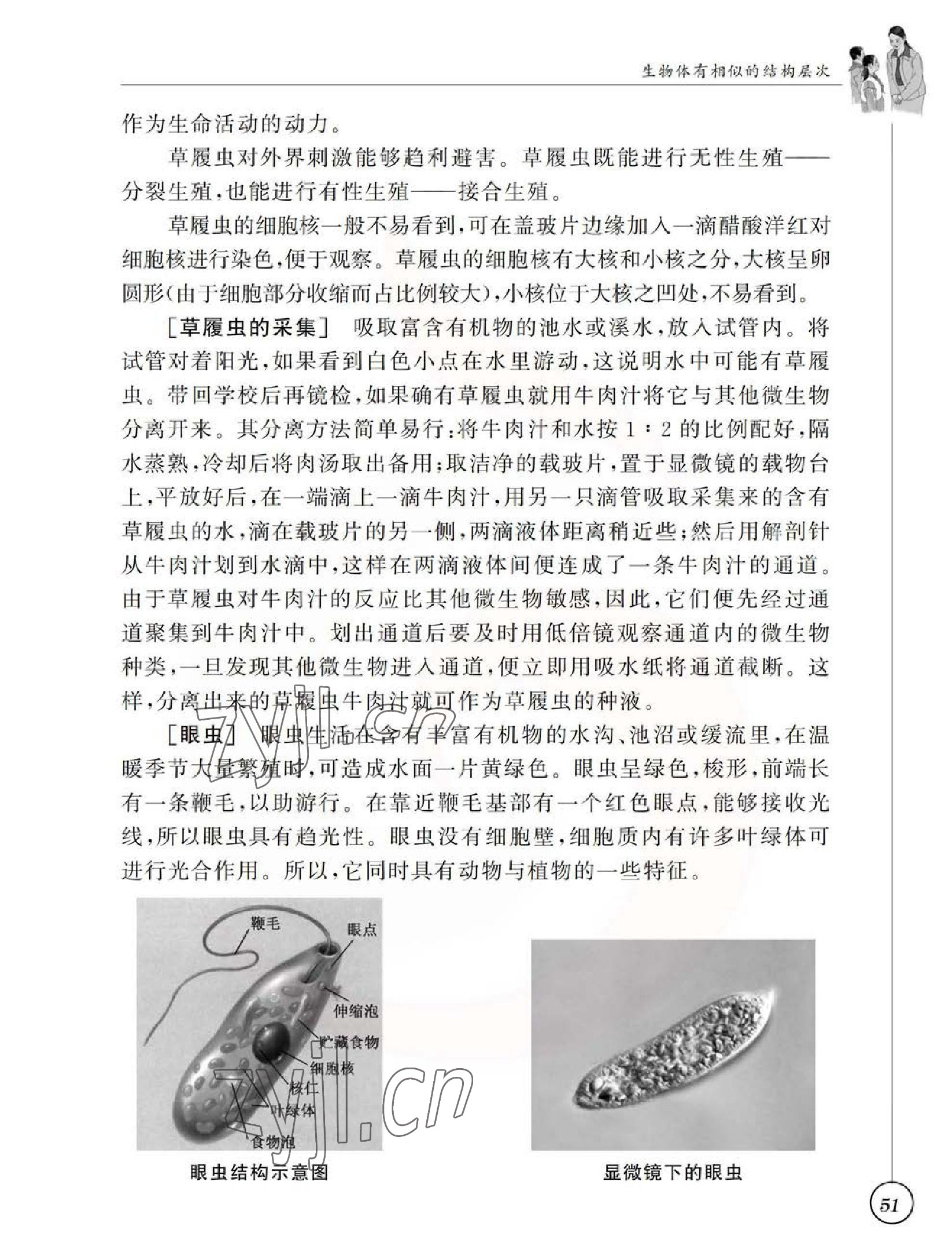 2023年教材課本七年級(jí)生物下冊(cè)蘇科版 參考答案第51頁(yè)