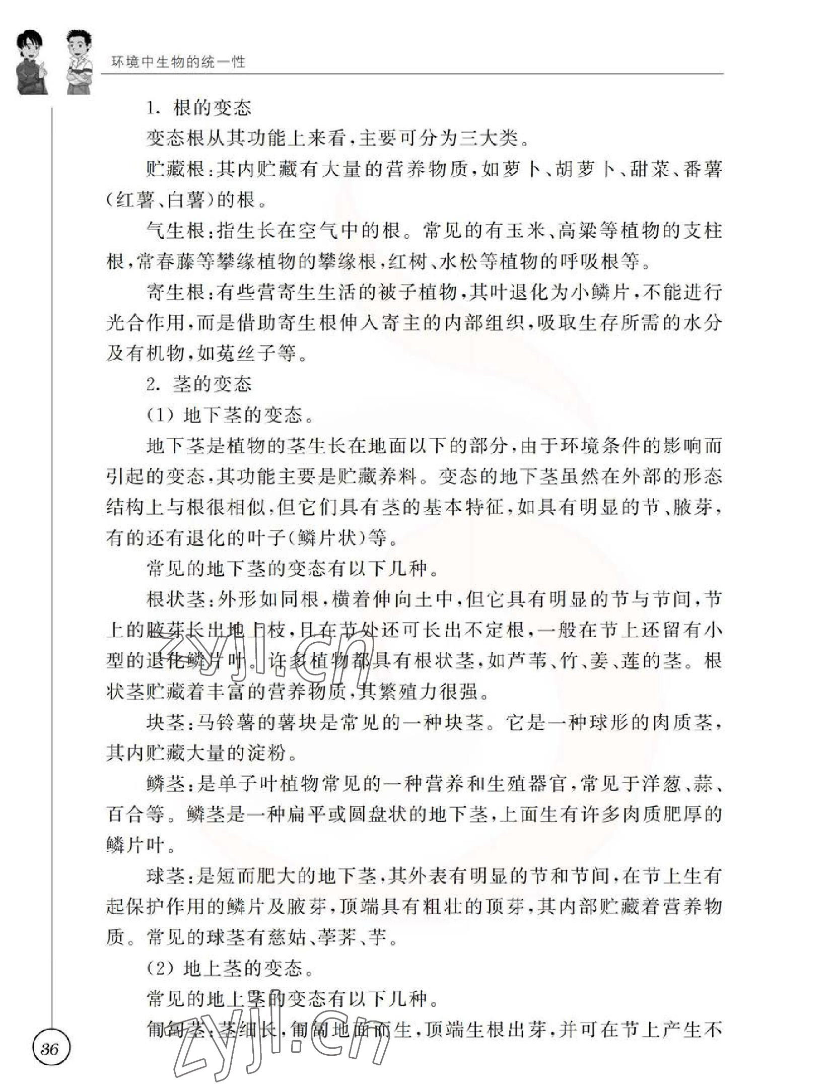 2023年教材課本七年級生物下冊蘇科版 參考答案第36頁