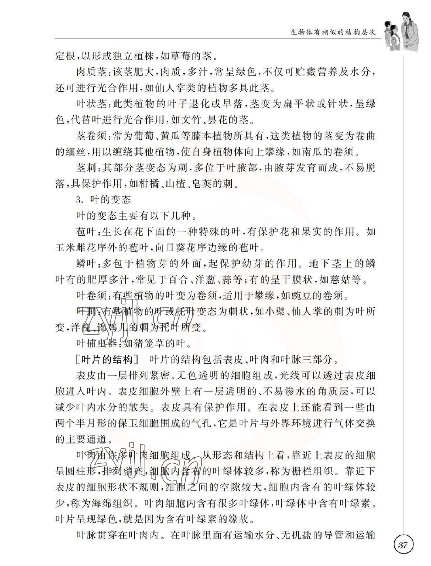 2023年教材課本七年級生物下冊蘇科版 參考答案第37頁
