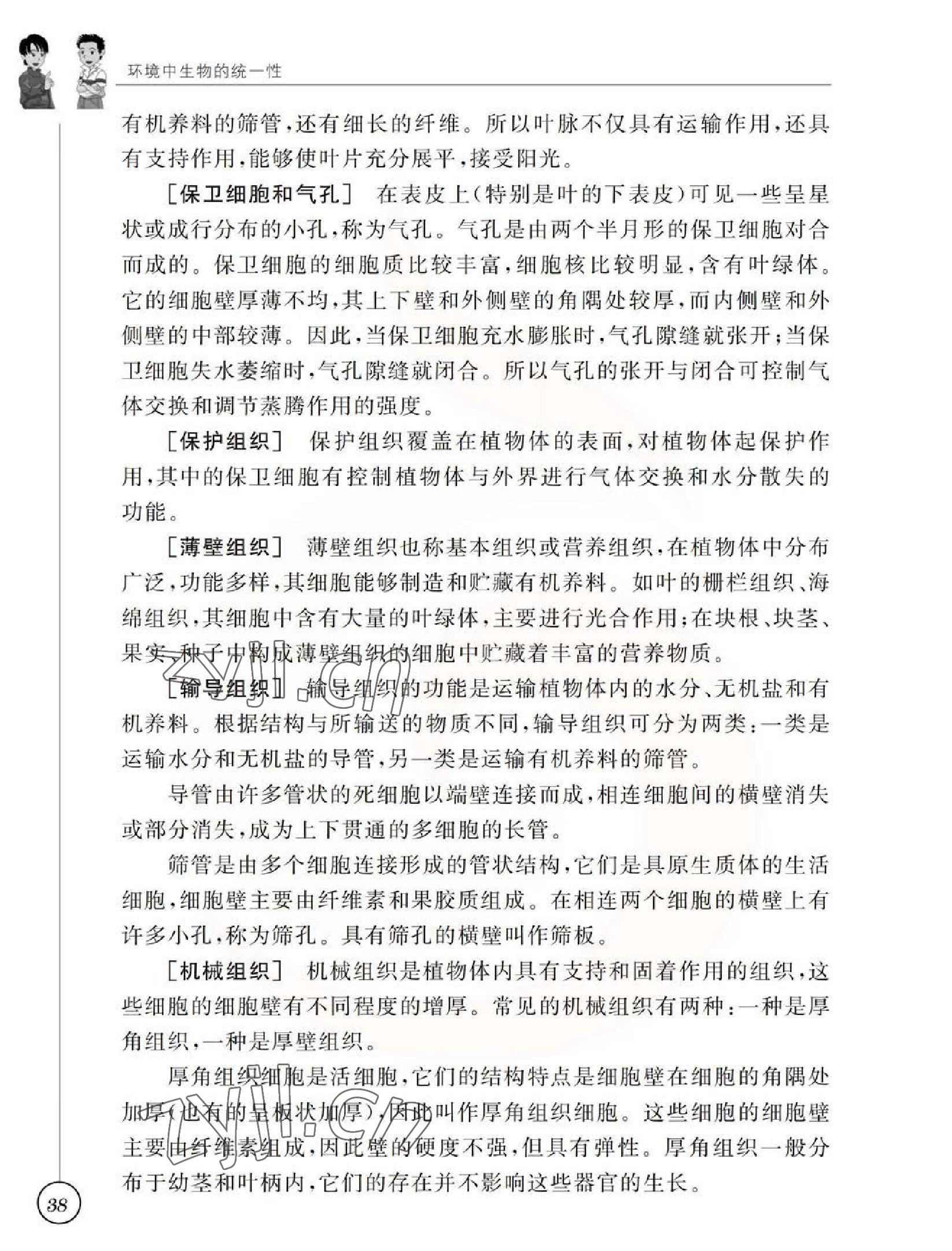 2023年教材課本七年級生物下冊蘇科版 參考答案第38頁