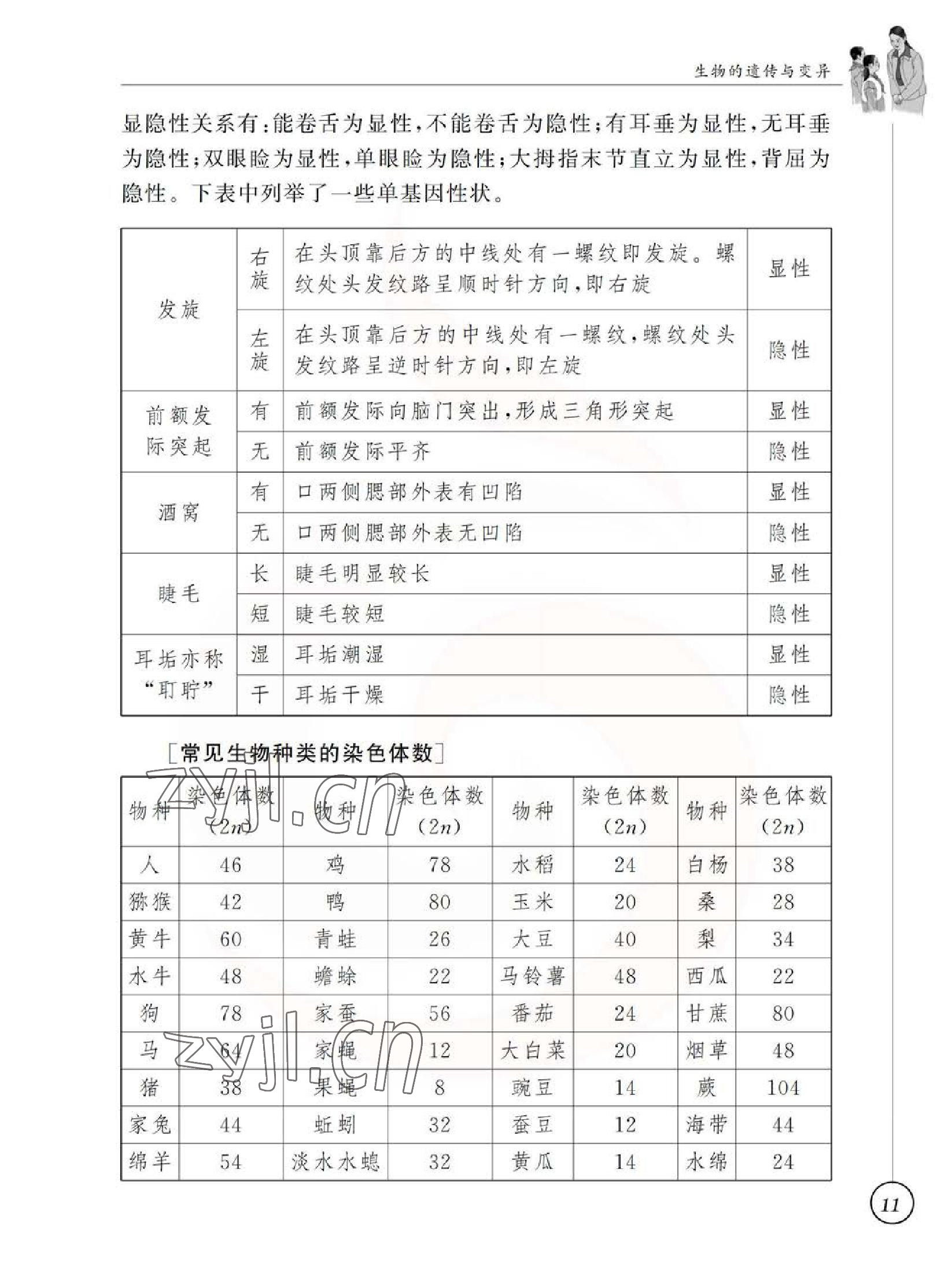 2023年教材課本八年級生物下冊蘇科版 參考答案第11頁