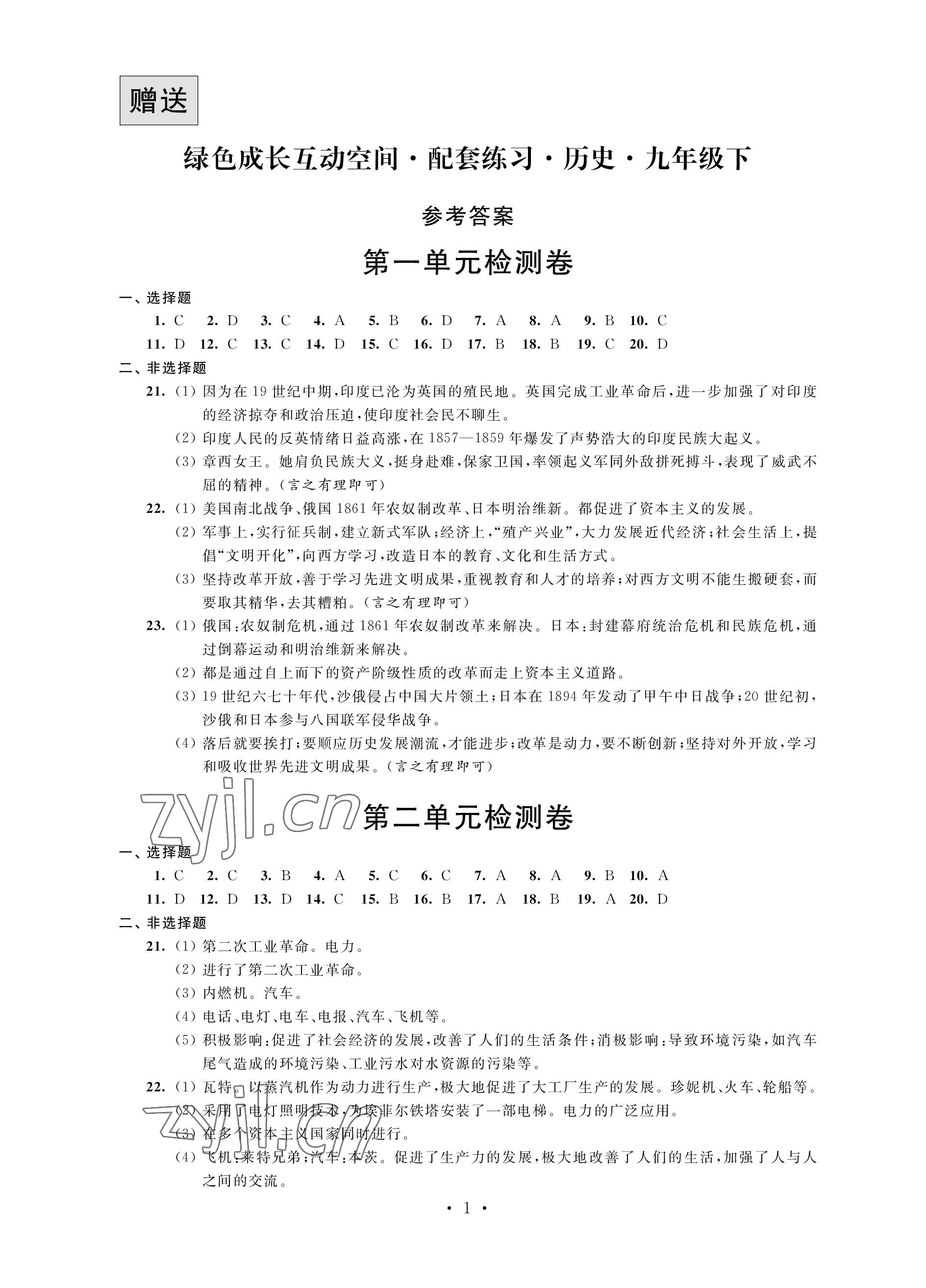 2023年绿色成长互动空间配套练习九年级历史下册人教版 参考答案第1页