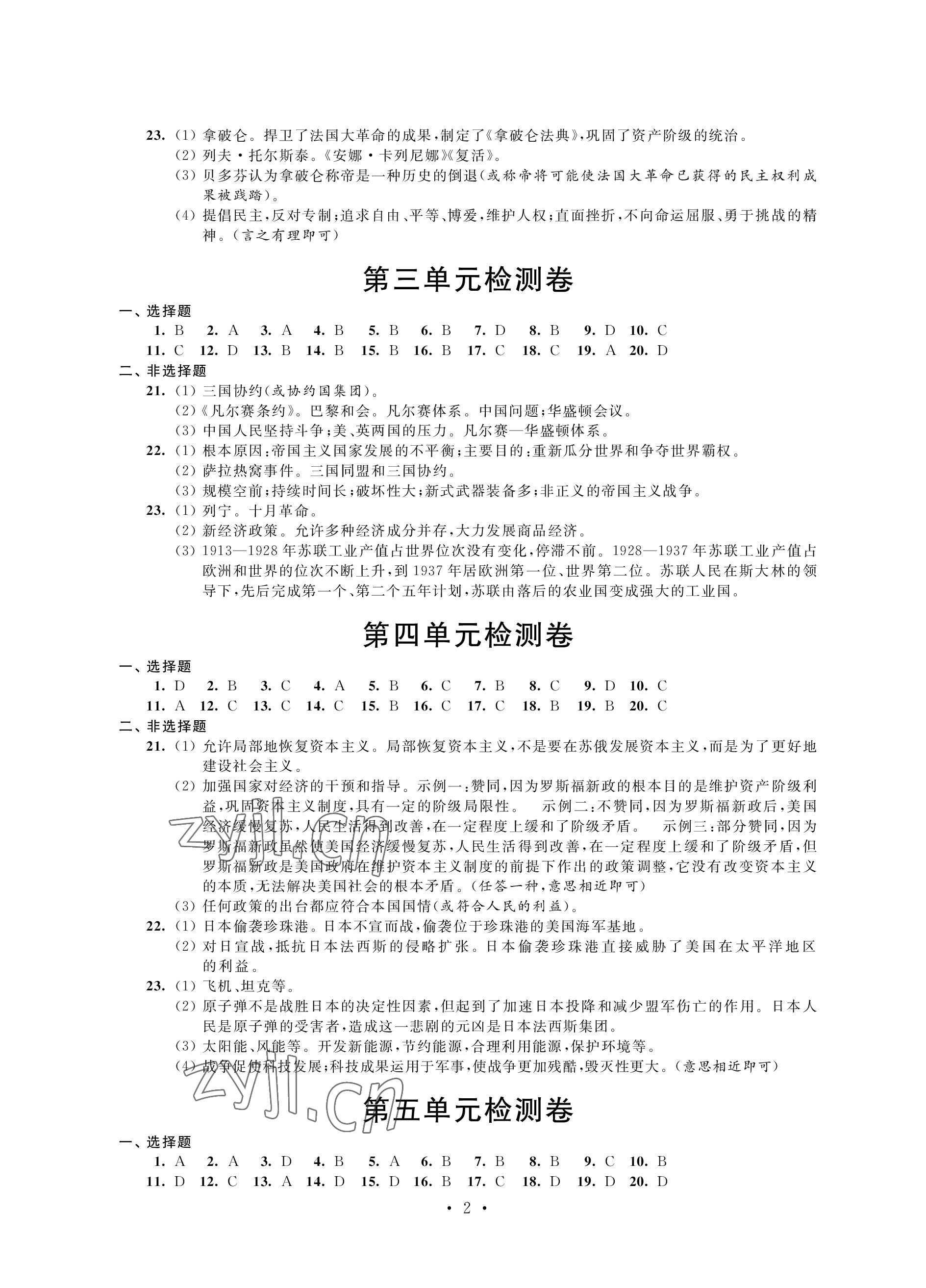 2023年绿色成长互动空间配套练习九年级历史下册人教版 参考答案第2页