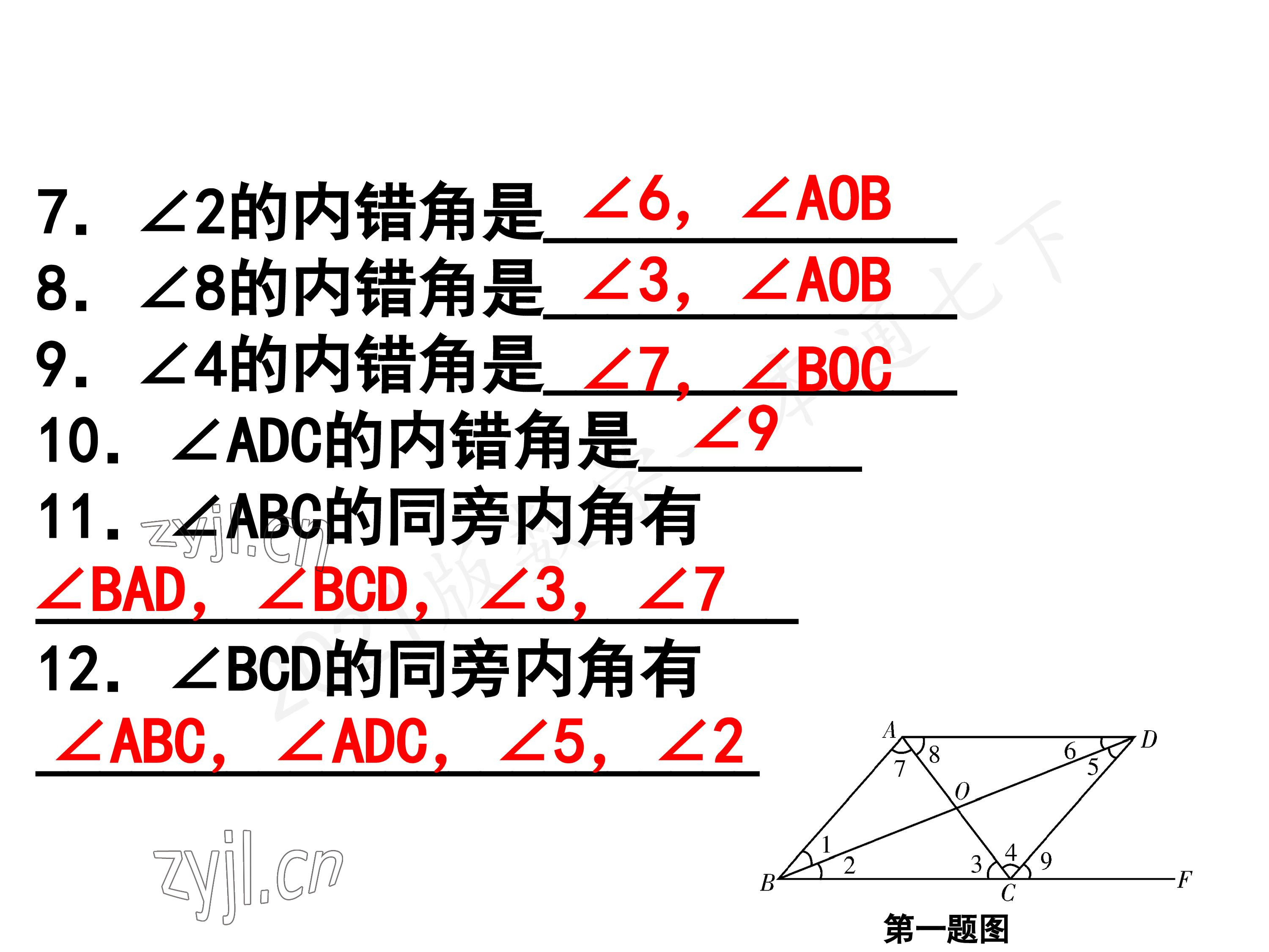 2023年一本通武汉出版社七年级数学下册北师大版 第49页