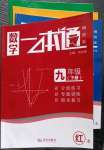 2023年一本通武漢出版社九年級(jí)數(shù)學(xué)下冊(cè)北師大版