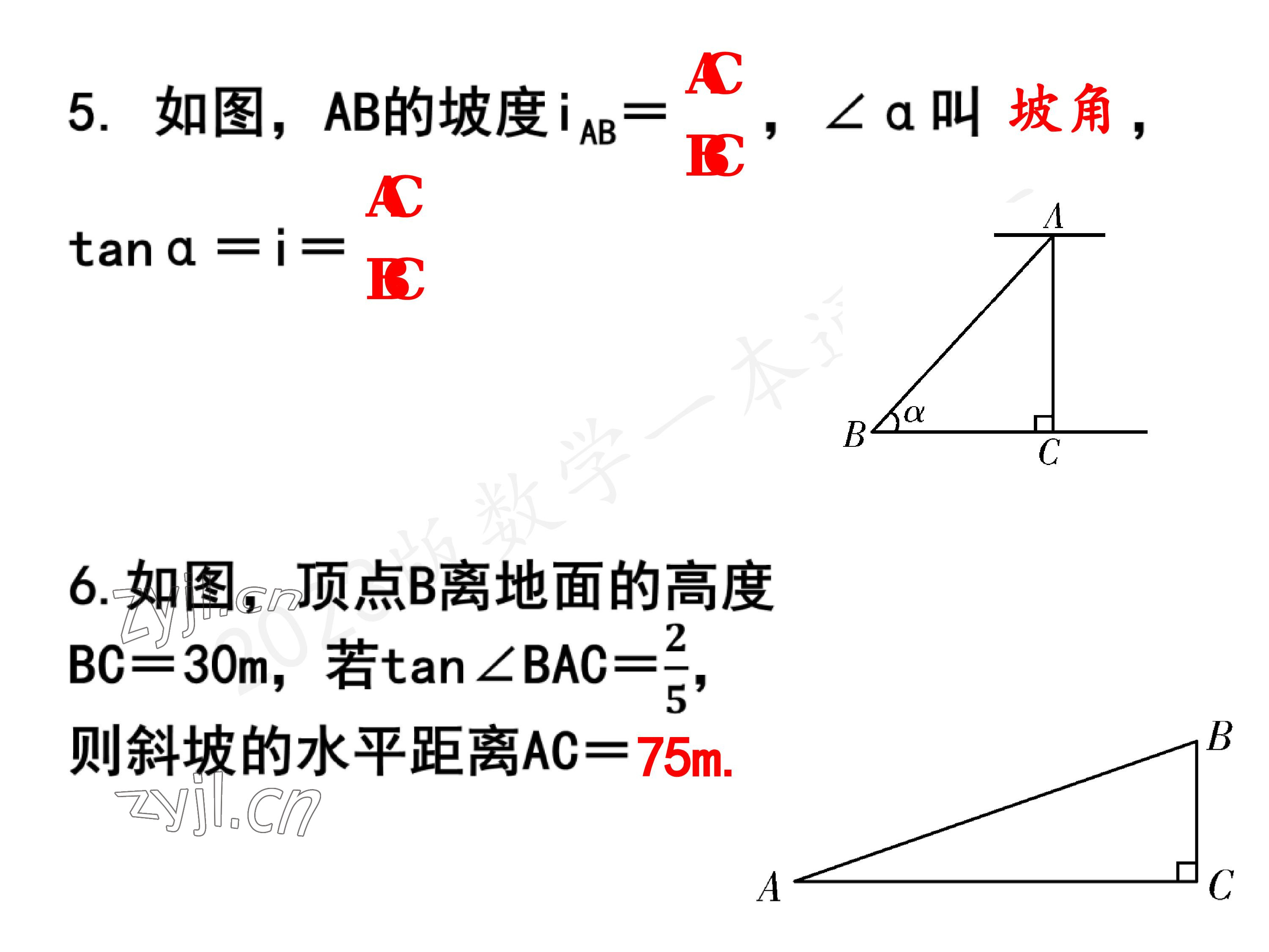 2023年一本通武汉出版社九年级数学下册北师大版 参考答案第4页