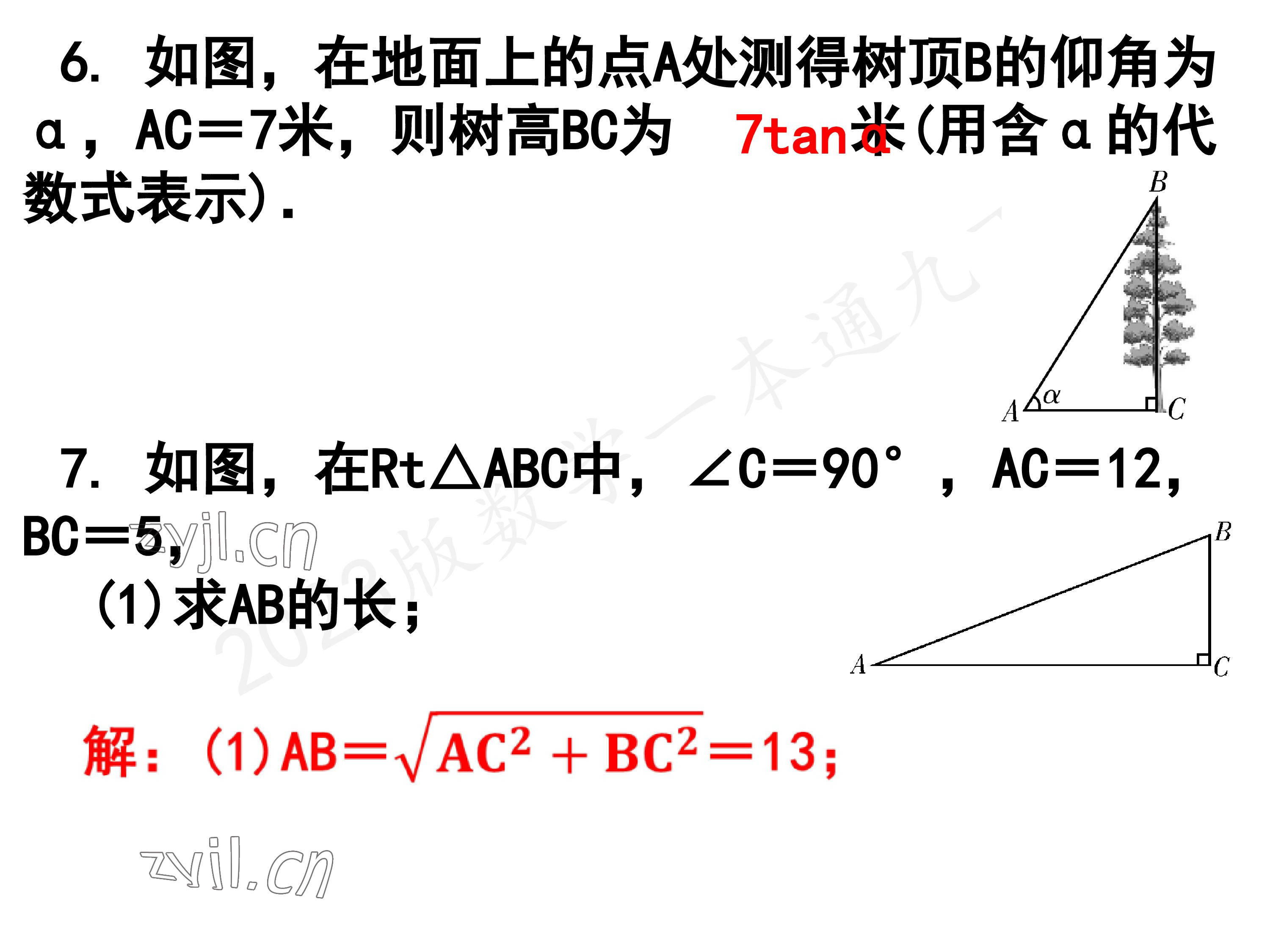 2023年一本通武漢出版社九年級(jí)數(shù)學(xué)下冊(cè)北師大版 參考答案第16頁(yè)