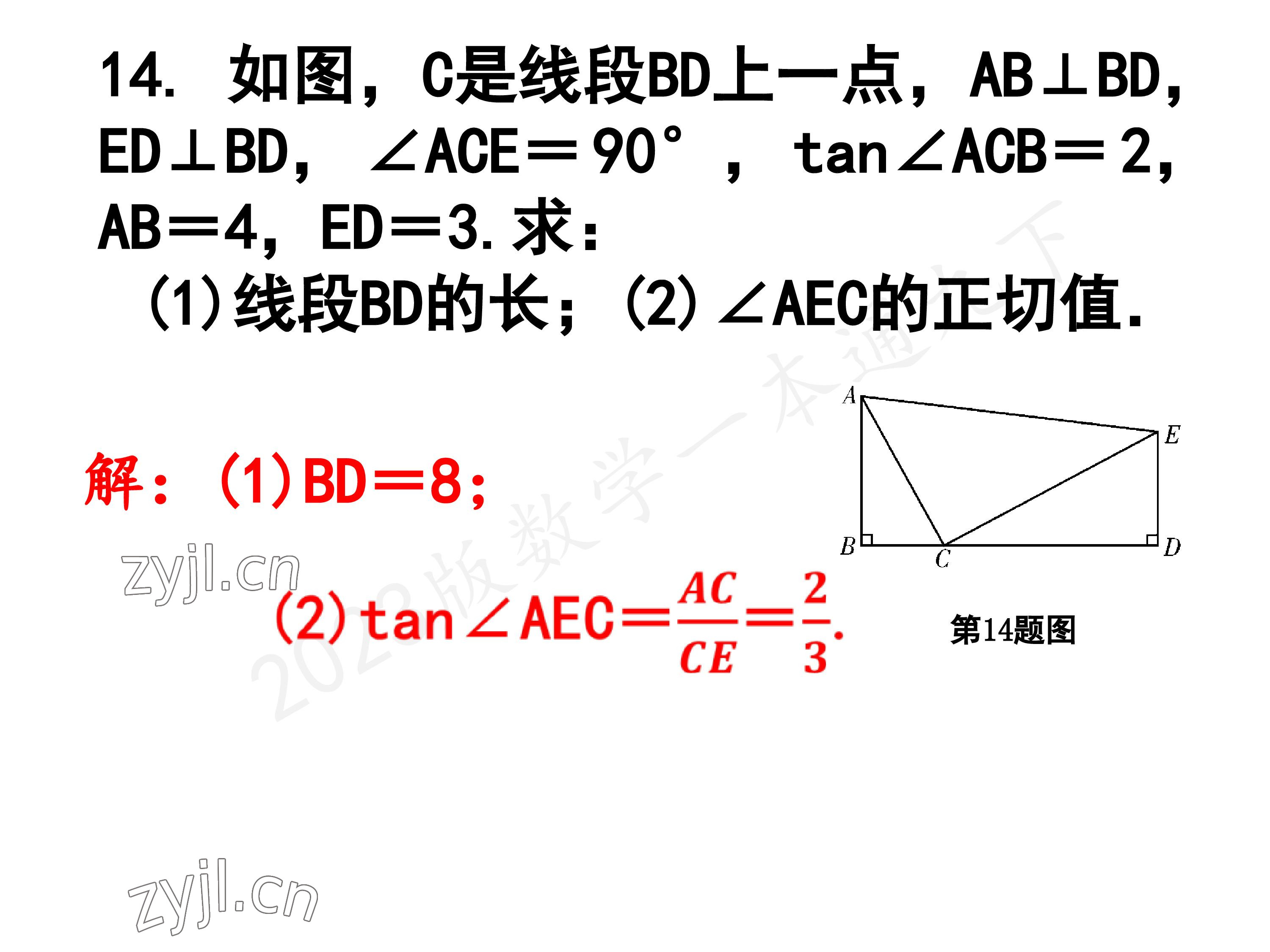 2023年一本通武汉出版社九年级数学下册北师大版 参考答案第59页