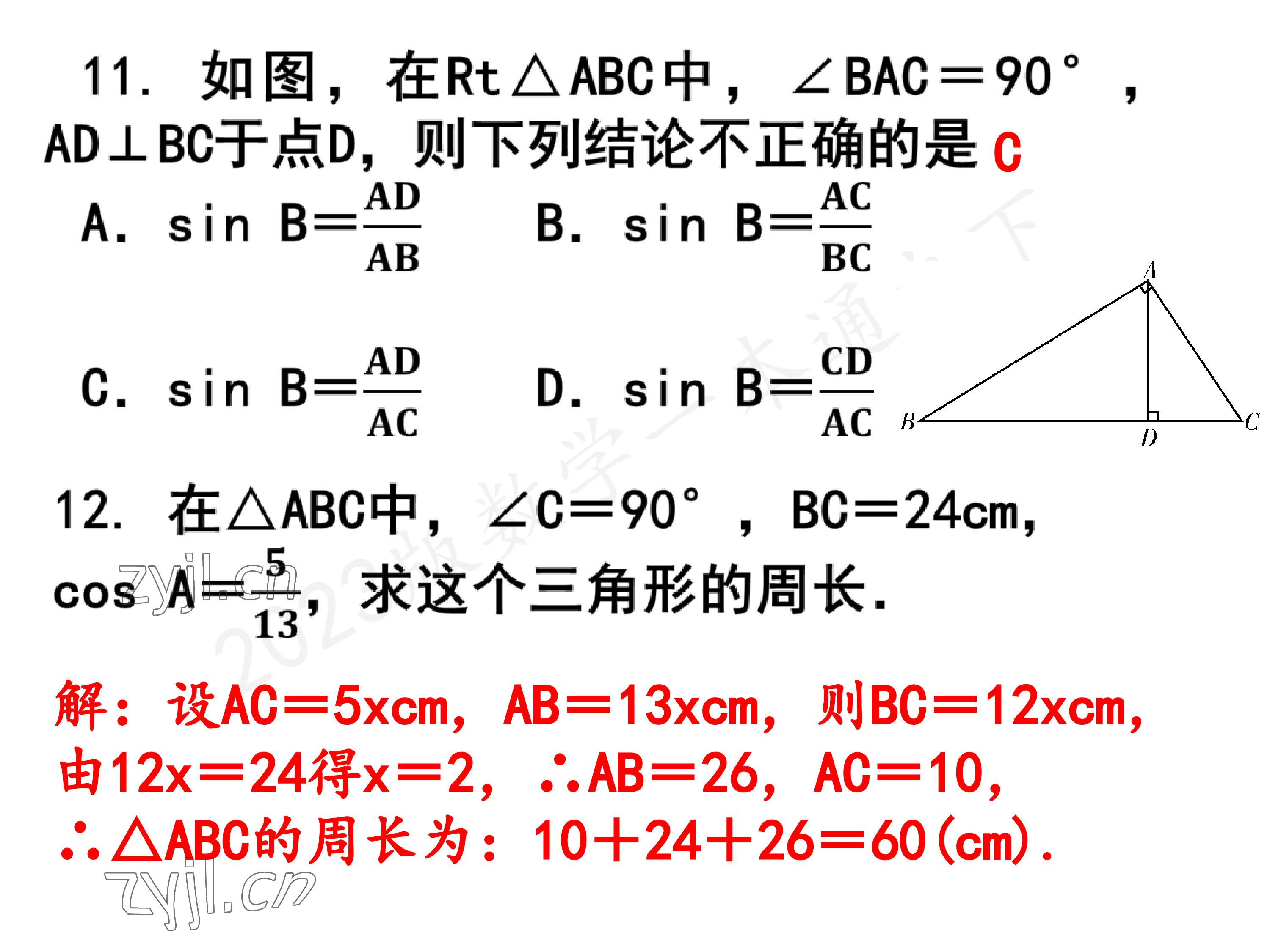 2023年一本通武漢出版社九年級(jí)數(shù)學(xué)下冊(cè)北師大版 參考答案第20頁