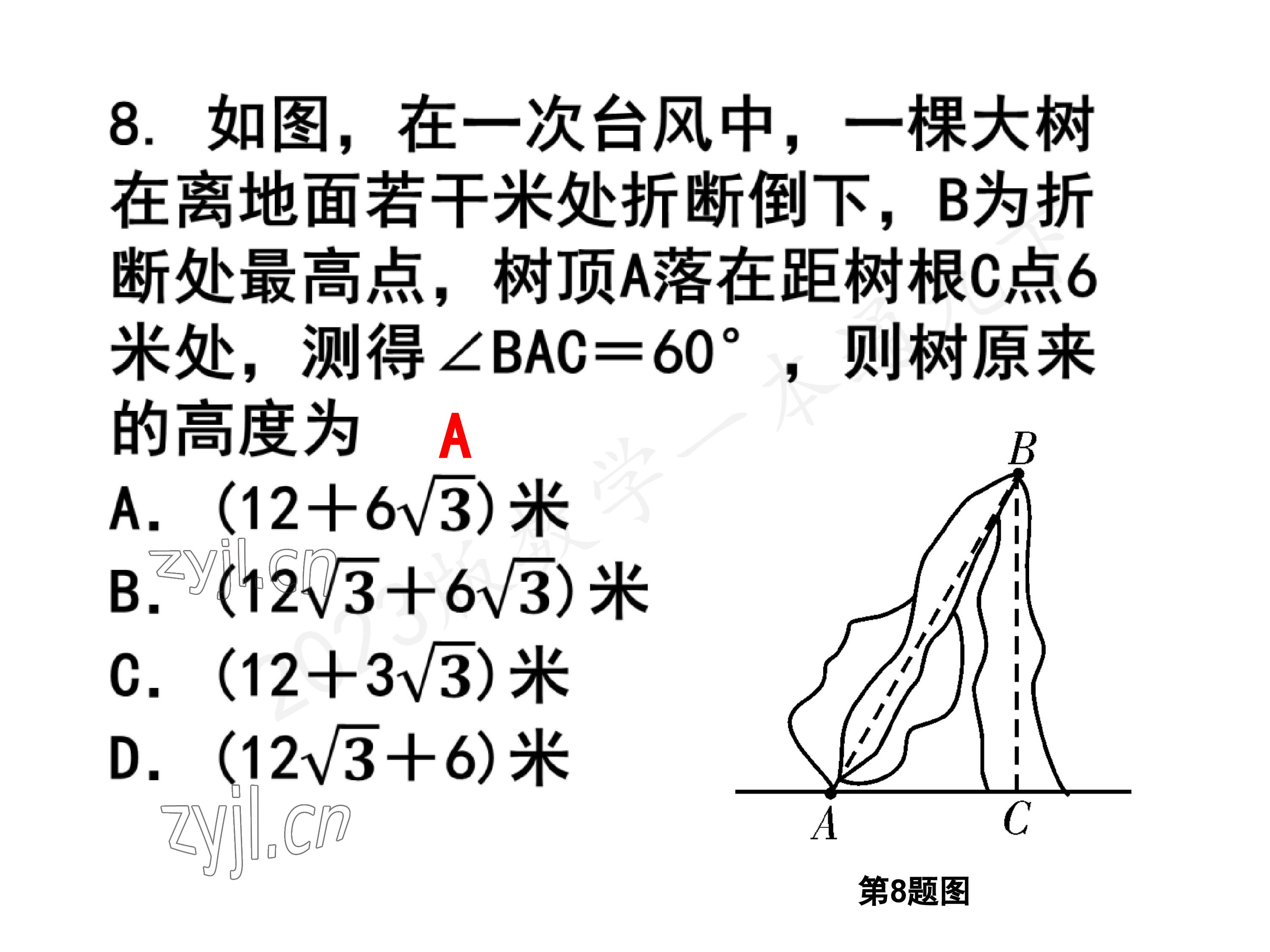 2023年一本通武汉出版社九年级数学下册北师大版 参考答案第42页