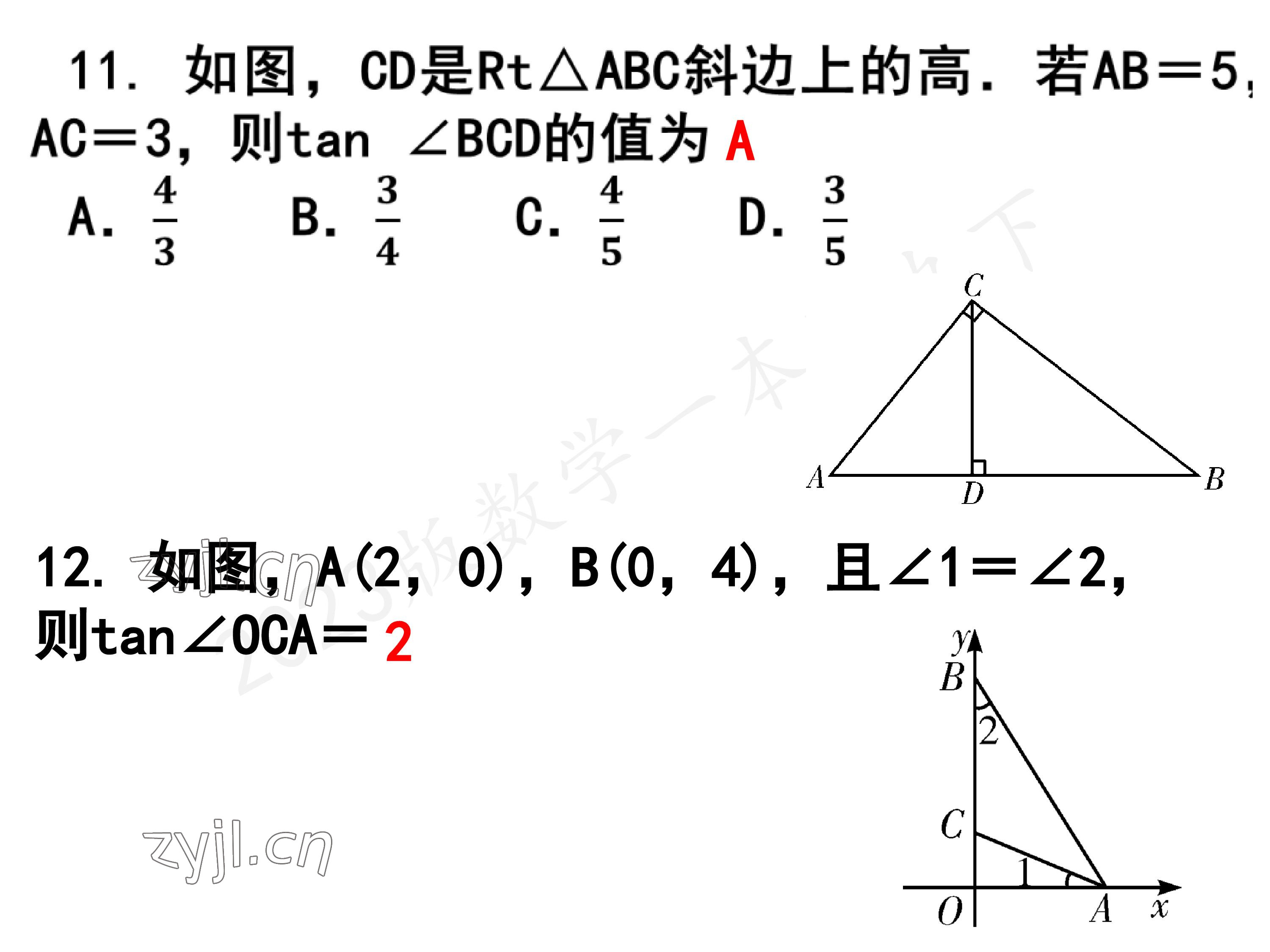 2023年一本通武汉出版社九年级数学下册北师大版 参考答案第8页