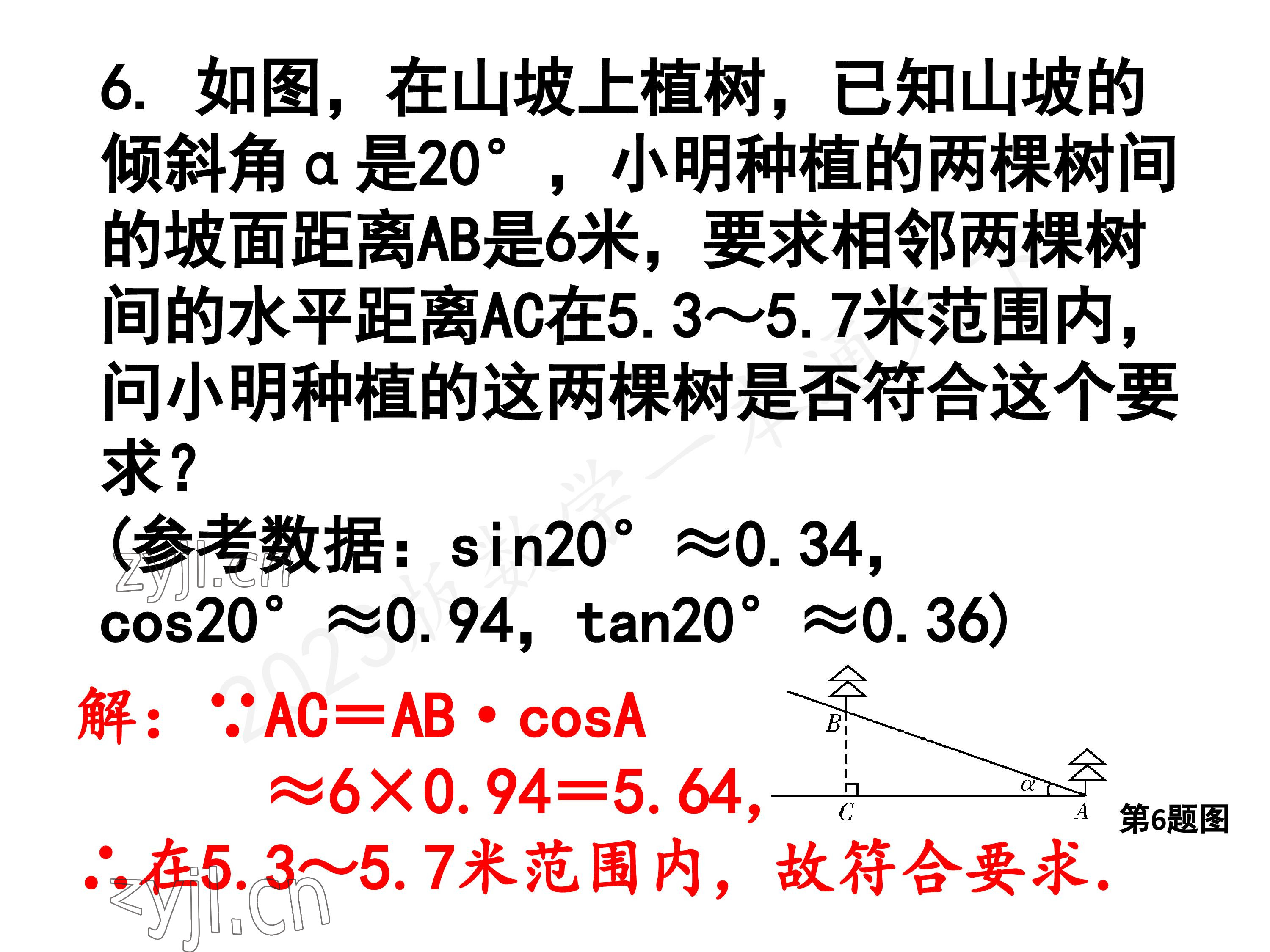 2023年一本通武汉出版社九年级数学下册北师大版 参考答案第66页