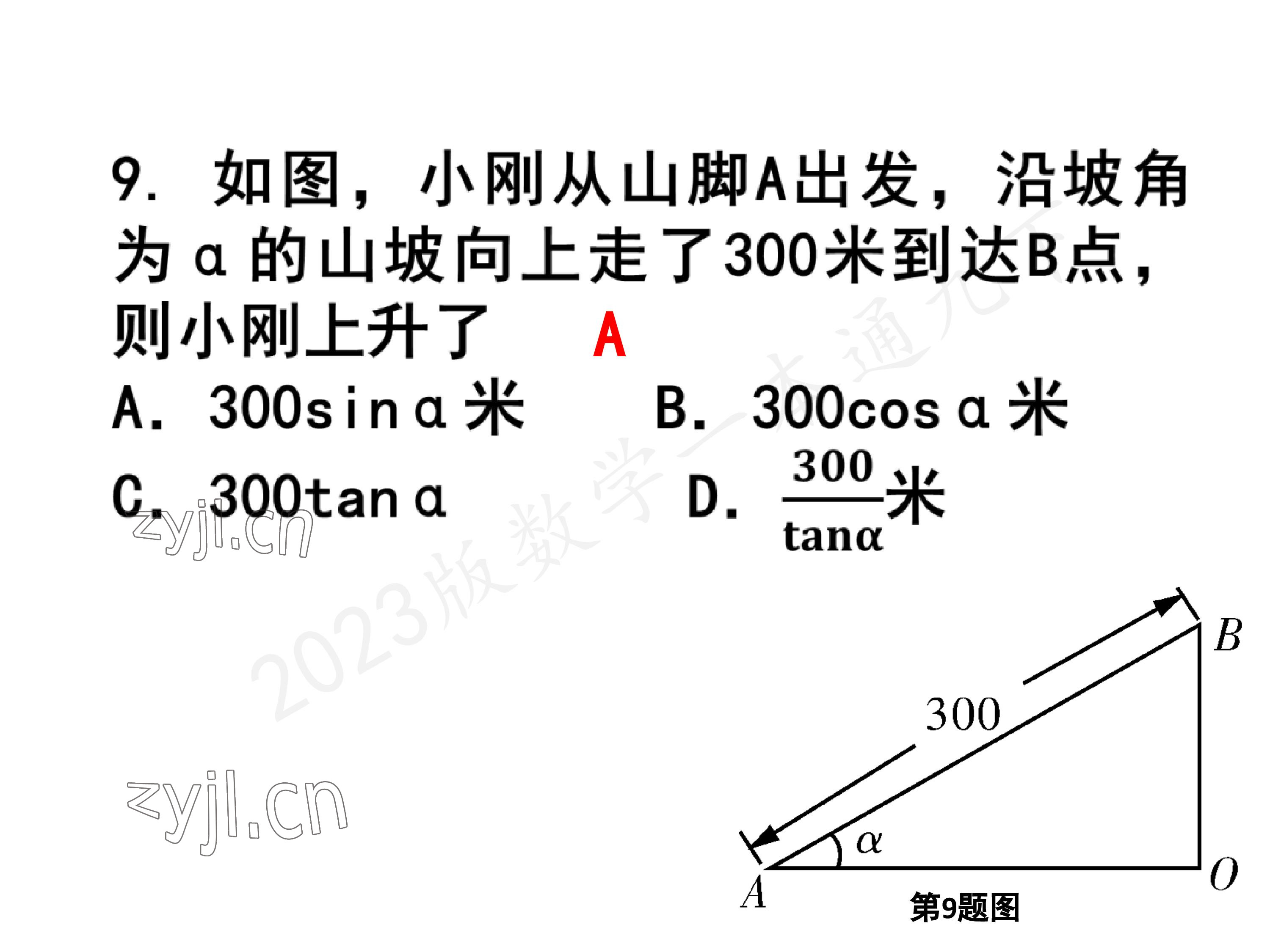 2023年一本通武漢出版社九年級數(shù)學下冊北師大版 參考答案第55頁