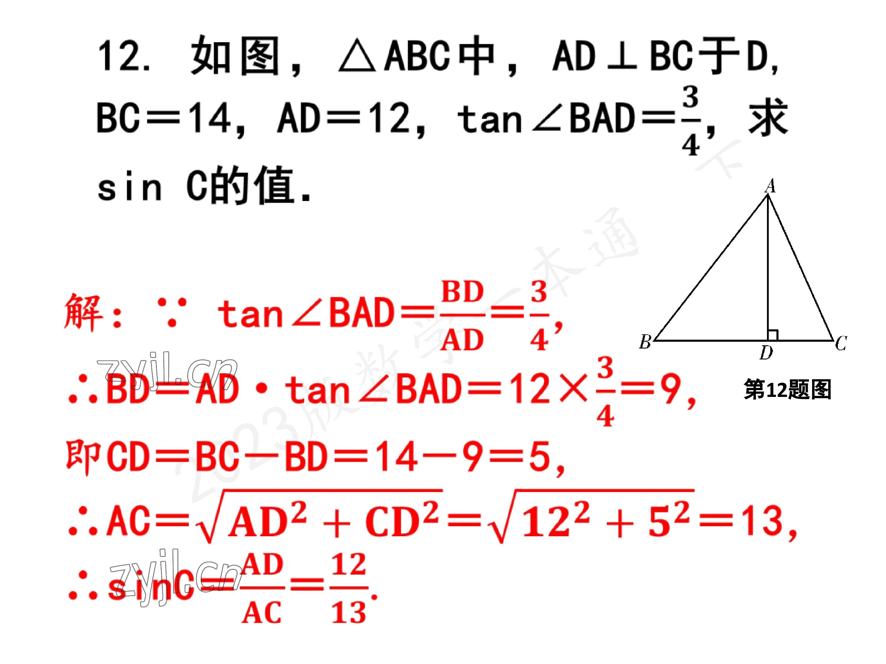 2023年一本通武汉出版社九年级数学下册北师大版 参考答案第57页