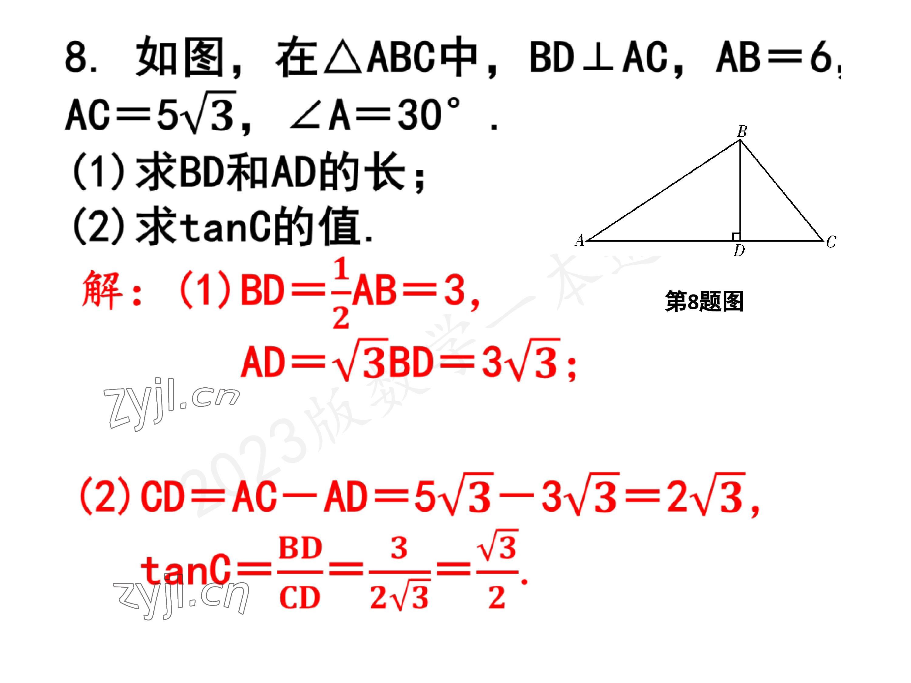 2023年一本通武汉出版社九年级数学下册北师大版 参考答案第54页