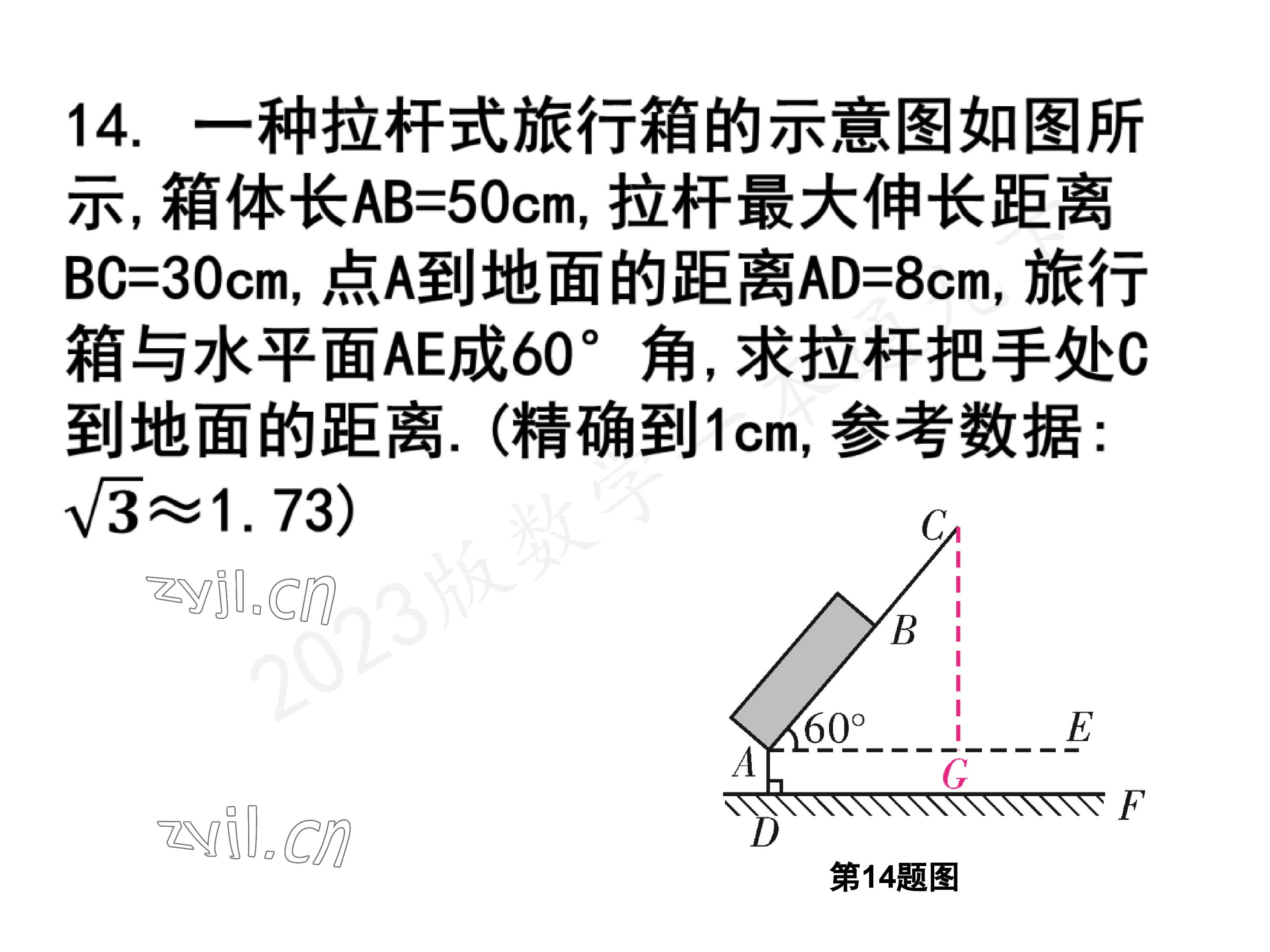 2023年一本通武汉出版社九年级数学下册北师大版 参考答案第31页