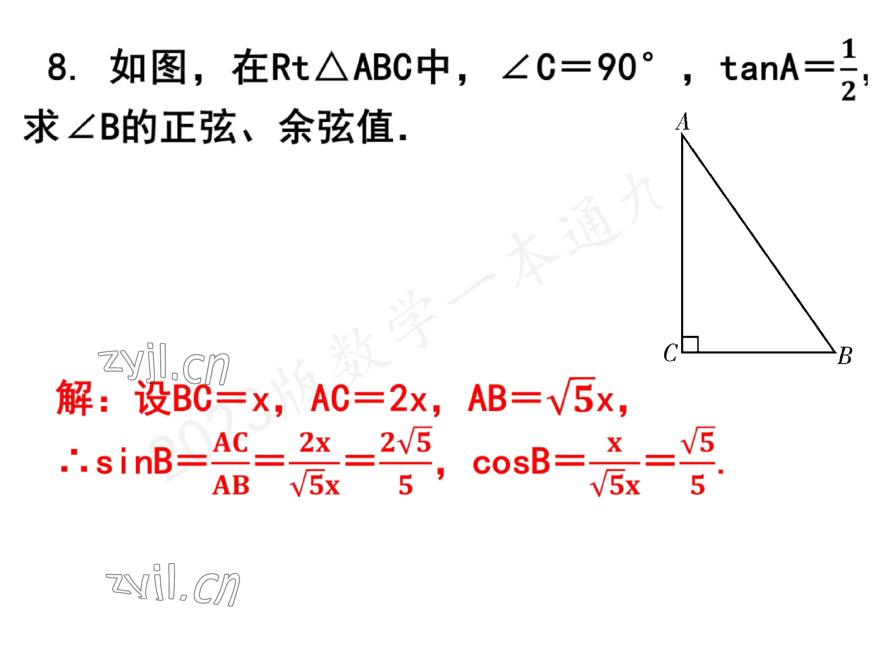 2023年一本通武漢出版社九年級數(shù)學(xué)下冊北師大版 參考答案第18頁