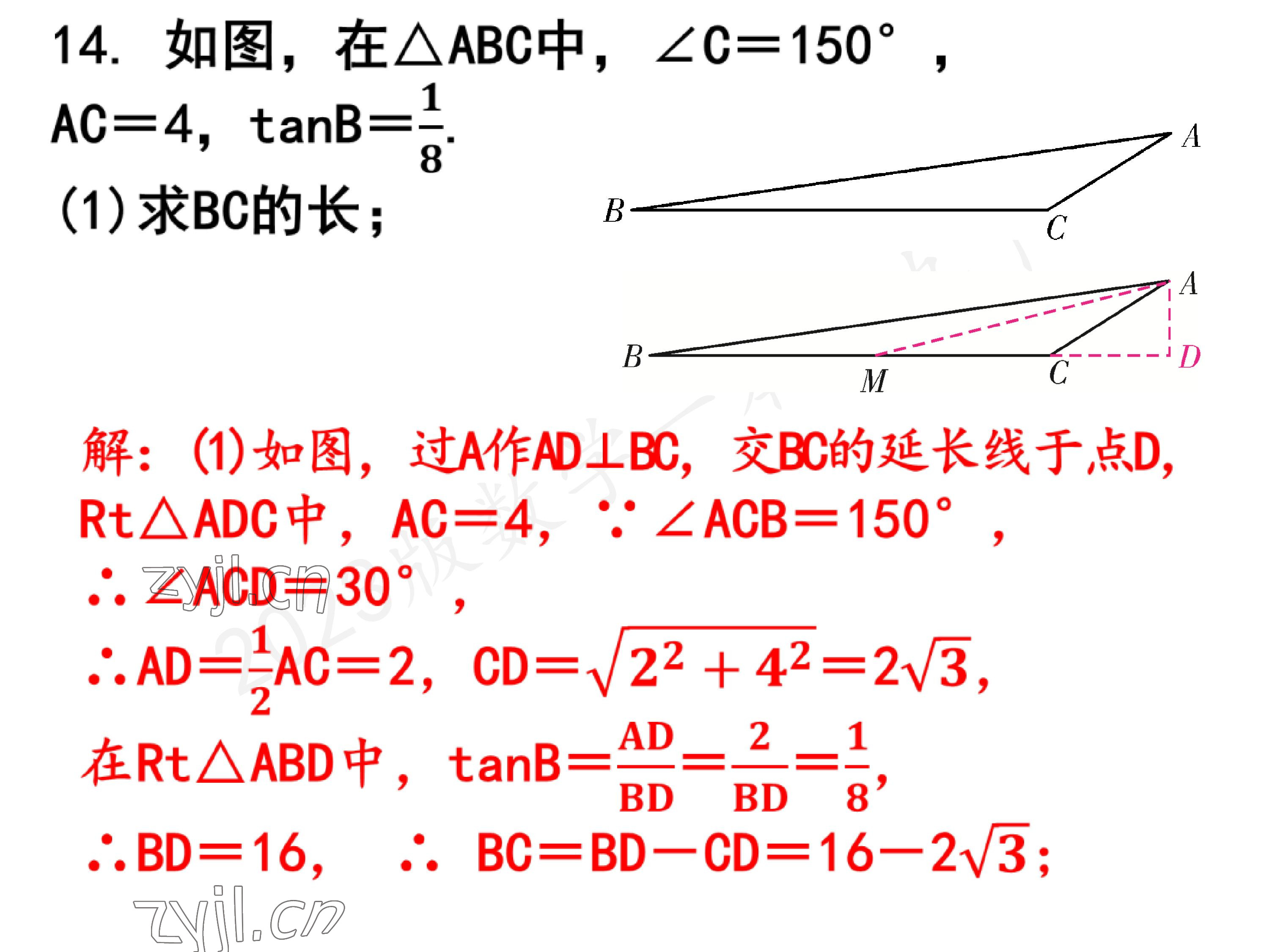 2023年一本通武汉出版社九年级数学下册北师大版 参考答案第10页