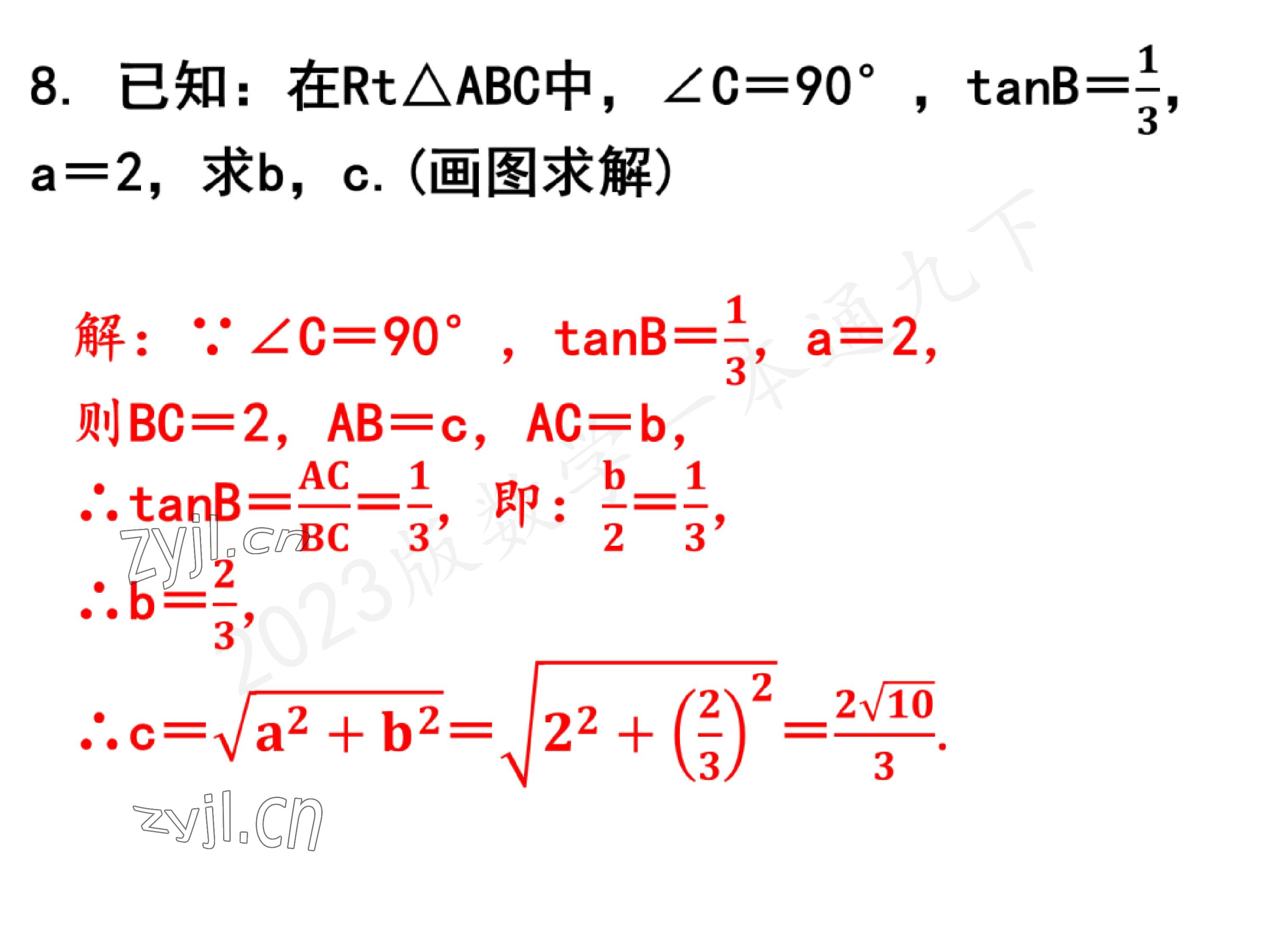 2023年一本通武汉出版社九年级数学下册北师大版 参考答案第6页