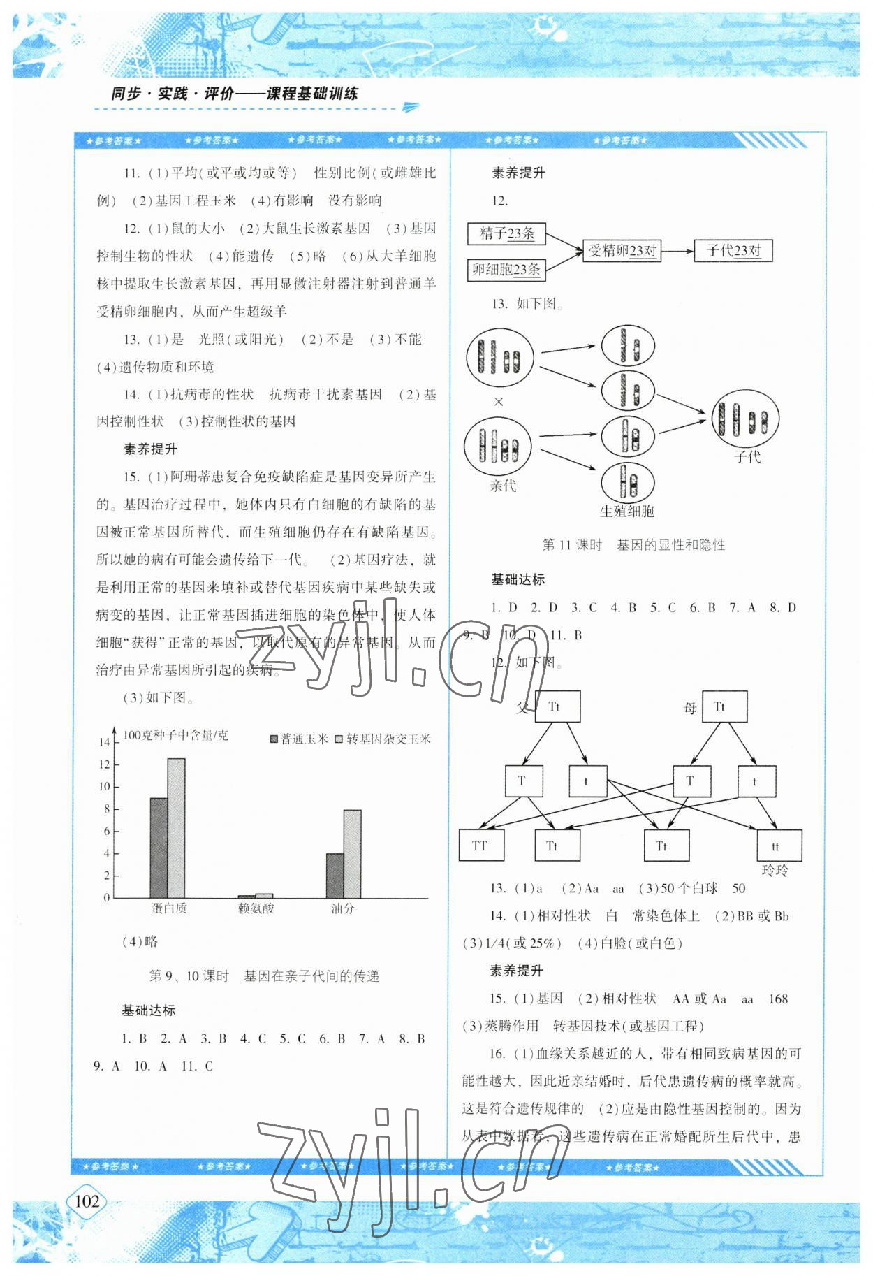 2023年同步實(shí)踐評價課程基礎(chǔ)訓(xùn)練八年級生物下冊人教版 第2頁