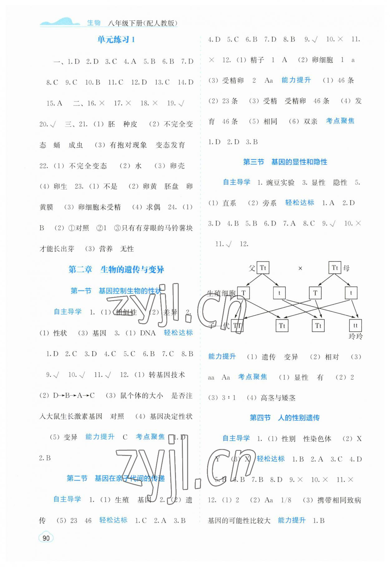 2023年自主学习能力测评八年级生物下册人教版 第2页