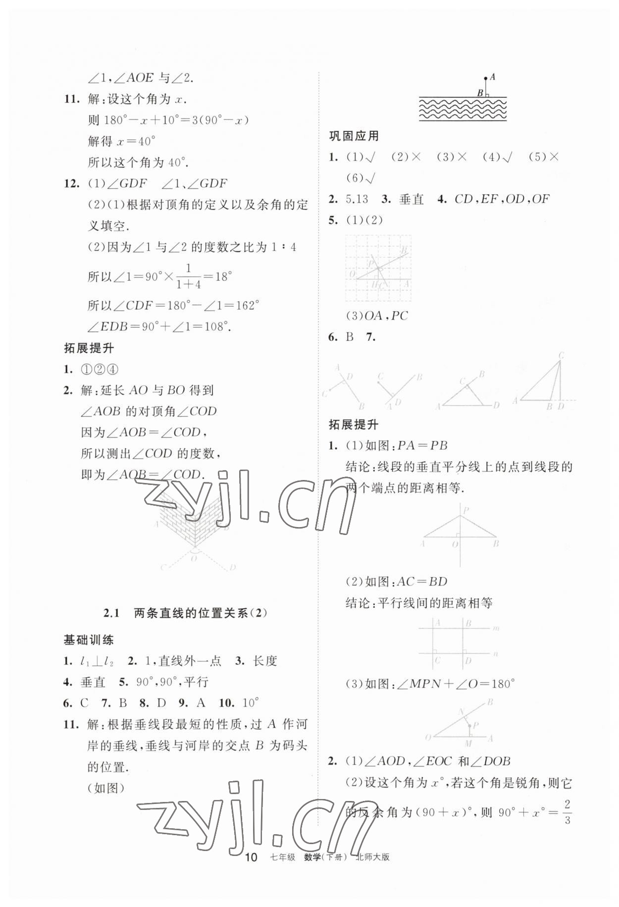 2023年学习之友七年级数学下册北师大版 参考答案第10页