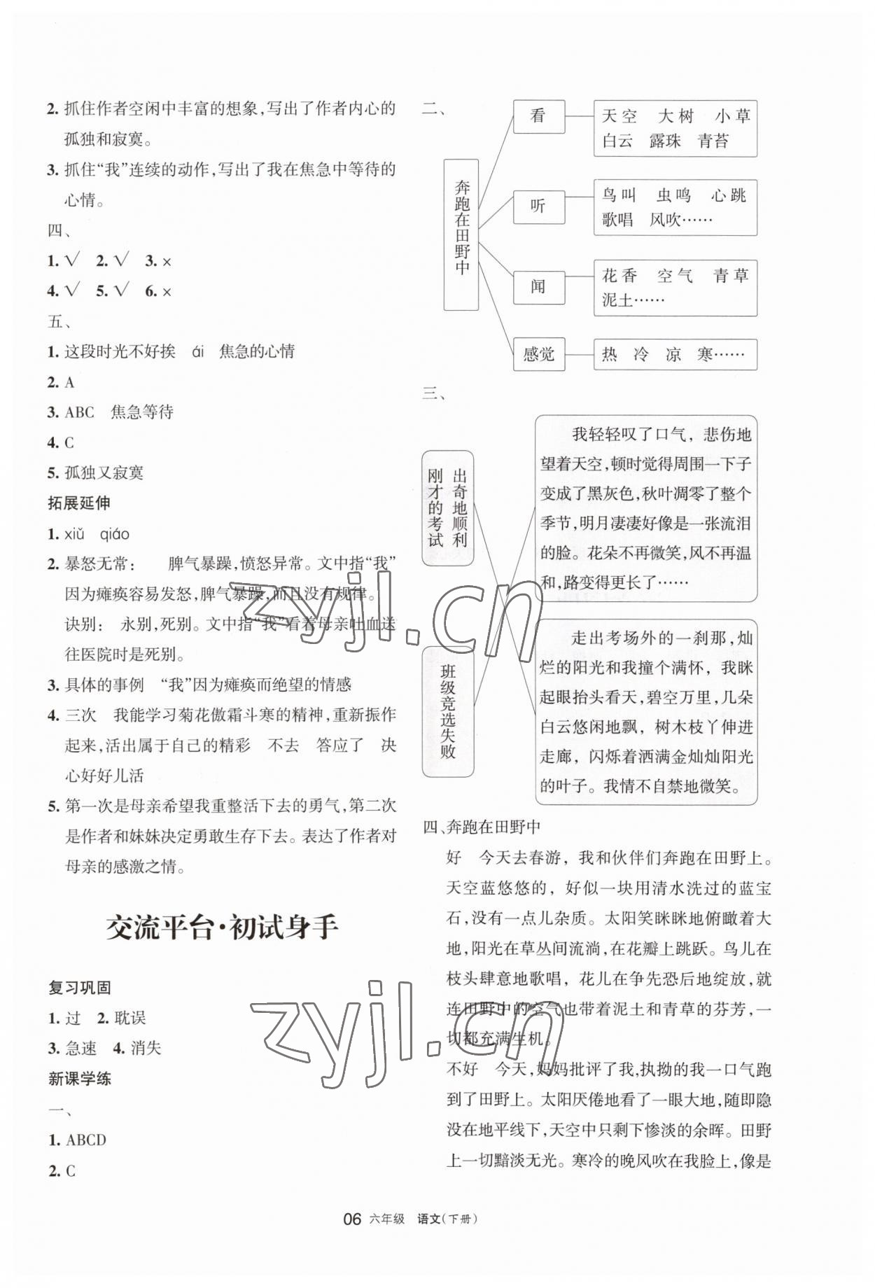 2023年学习之友六年级语文下册人教版 参考答案第6页