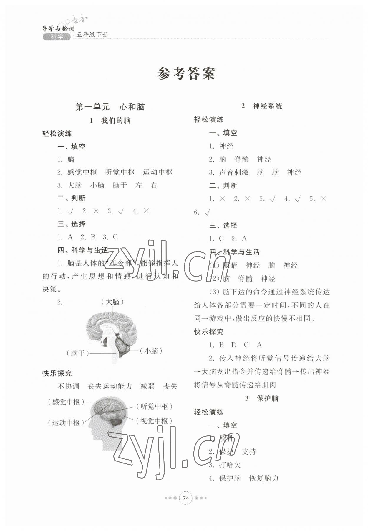 2023年導學與檢測五年級科學下冊青島版 參考答案第1頁